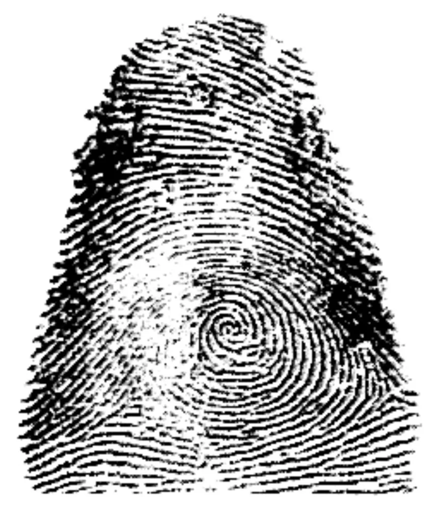 Impressão digital ensanguentada em uma porta, um marco na ciência forense.