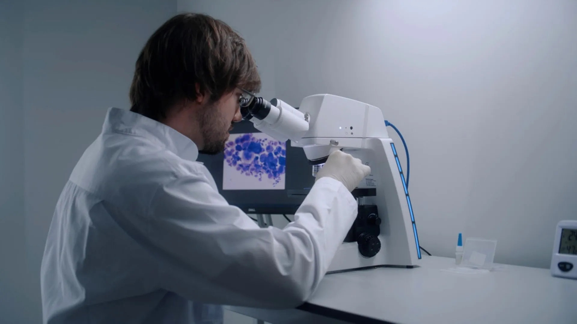 Imagem microscópica de Anthrobots, os organismos criados a partir de células pulmonares humanas.