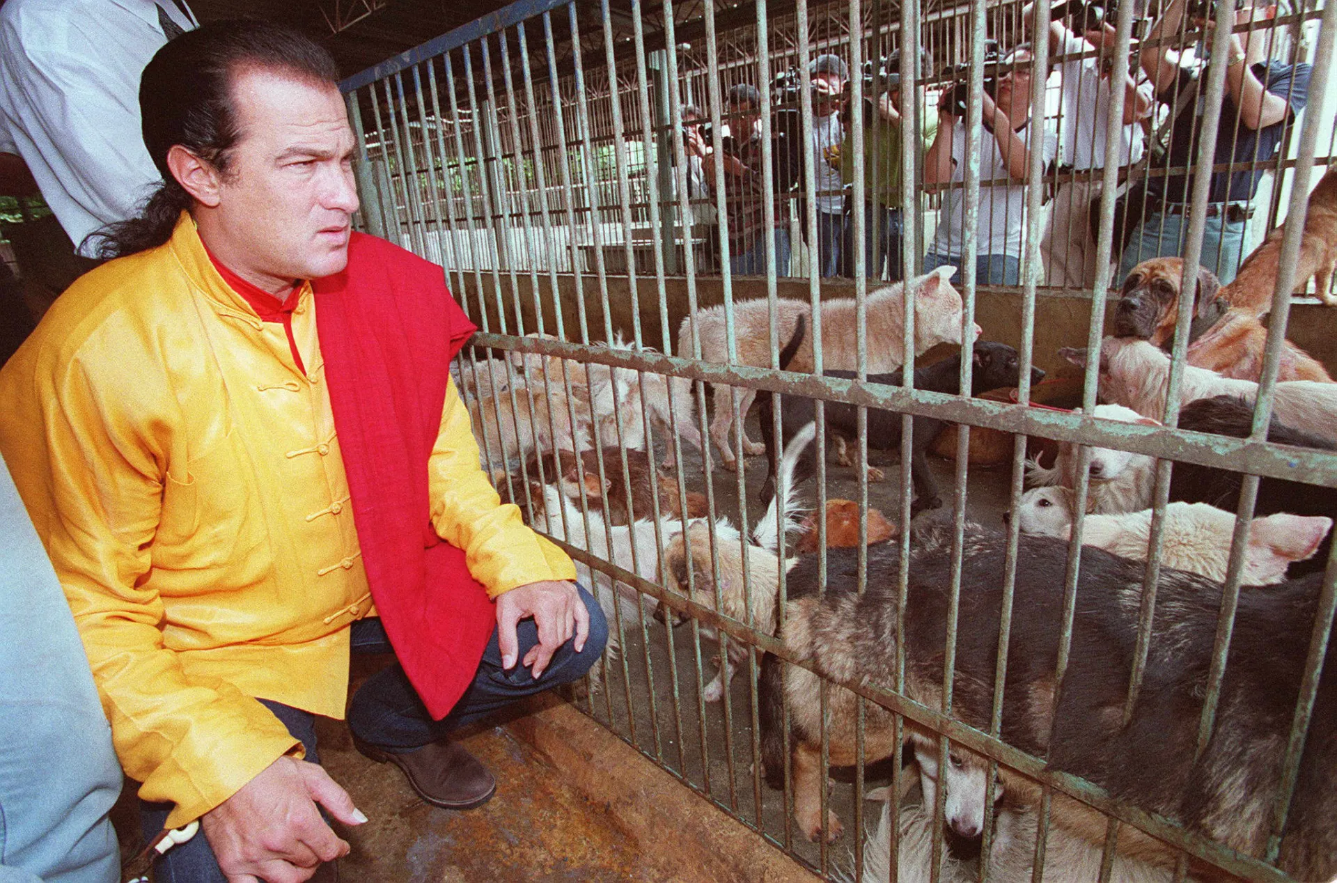 Steven Seagal visitando um abrigo de cães abandonados em Taiwan, em 1998.