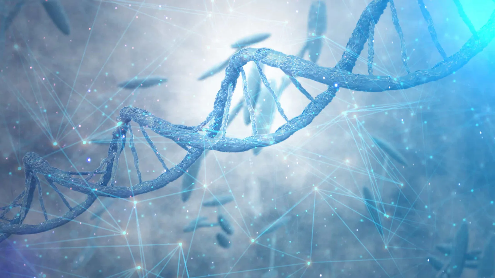 Ilustração de uma árvore genealógica, representando a hereditariedade.