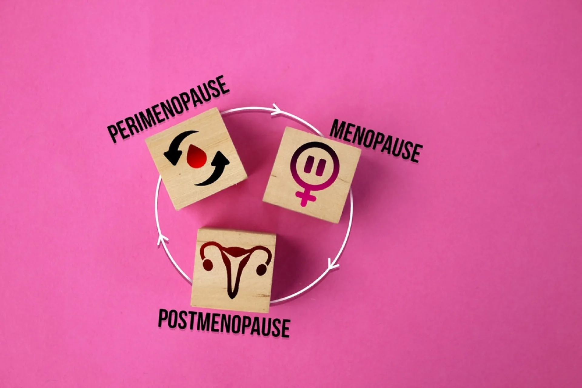 Diagrama ilustrando as quatro fases da menopausa: pré-menopausa, perimenopausa, menopausa e pós-menopausa.