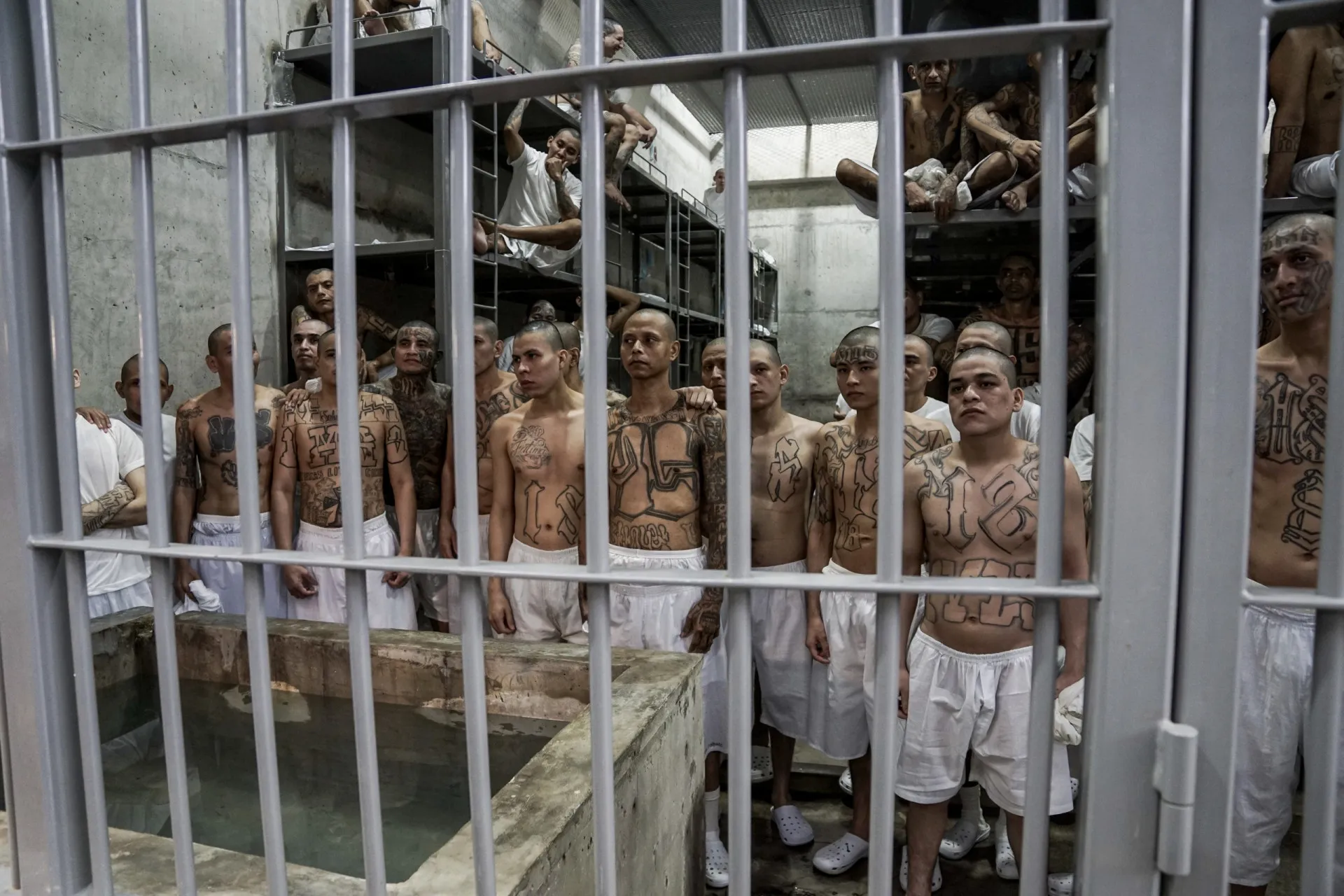 Membros de gangue tatuados sendo escoltados pela polícia em El Salvador.