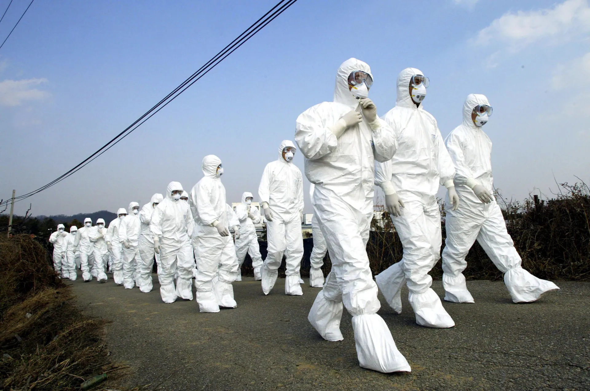 Soldados sul-coreanos se preparando para enterrar carcaças de patos infectados pelo vírus.
