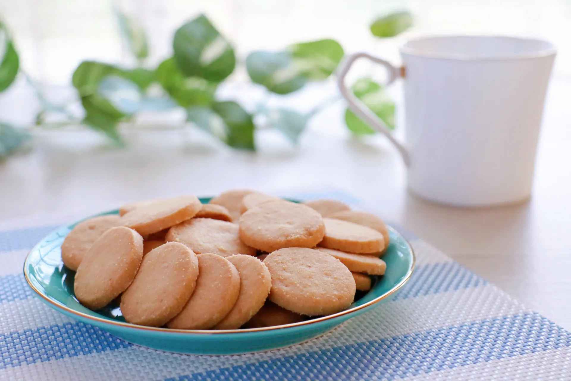 Cookies de chocolate recém-saídos do forno em uma grade de resfriamento.