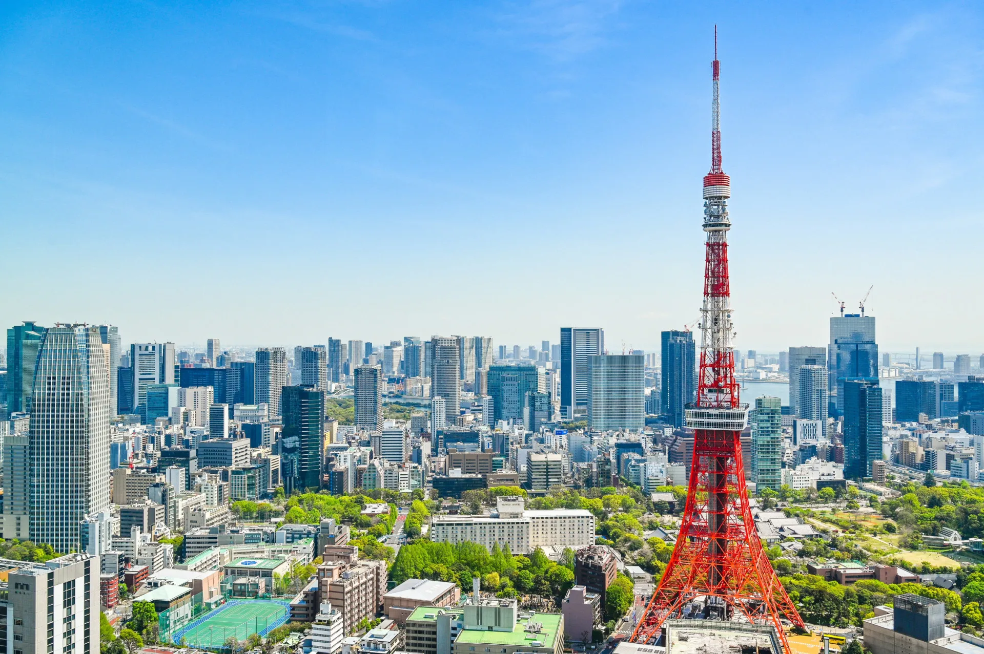 O Monte Fuji com flores de cerejeira em primeiro plano, no Japão.
