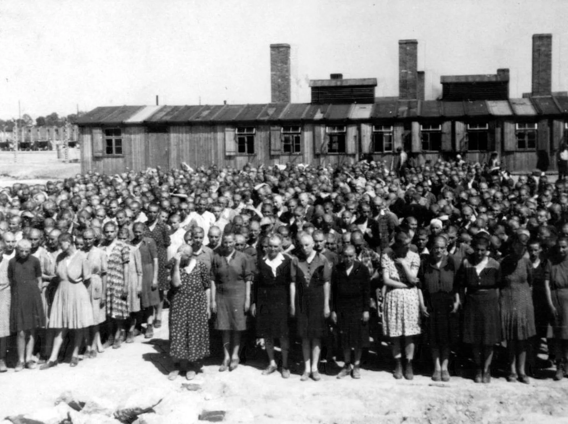 Guardas nazistas com cães de guarda em um campo de concentração, uma imagem de terror e controle.