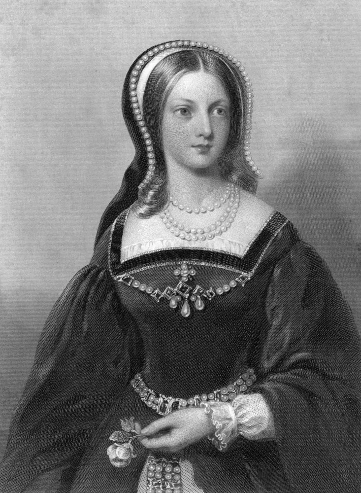 Um retrato detalhado de Lady Jane Grey, mostrando sua aparência nobre.