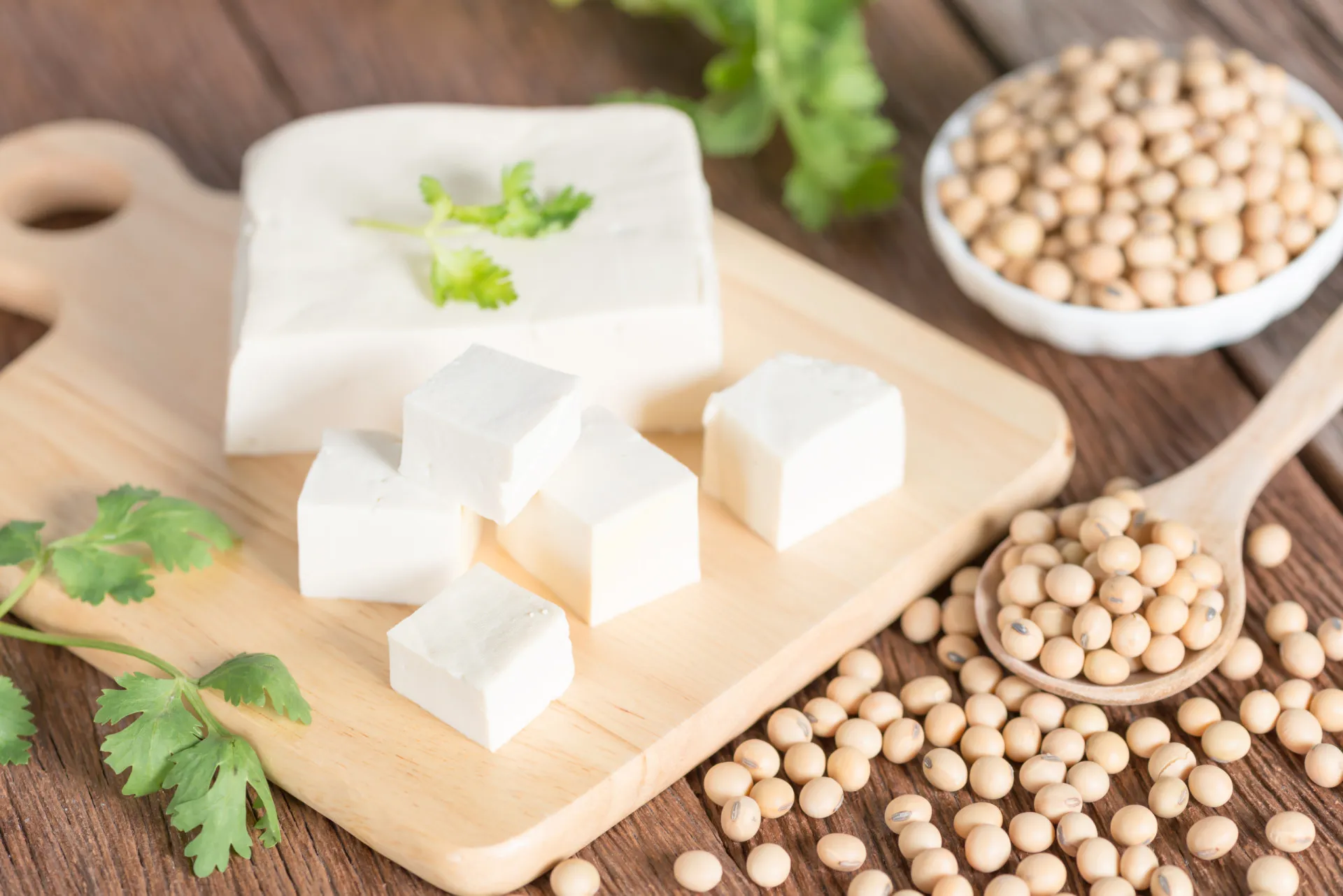 Blocos de tofu fresco em uma tigela de madeira, prontos para serem preparados.