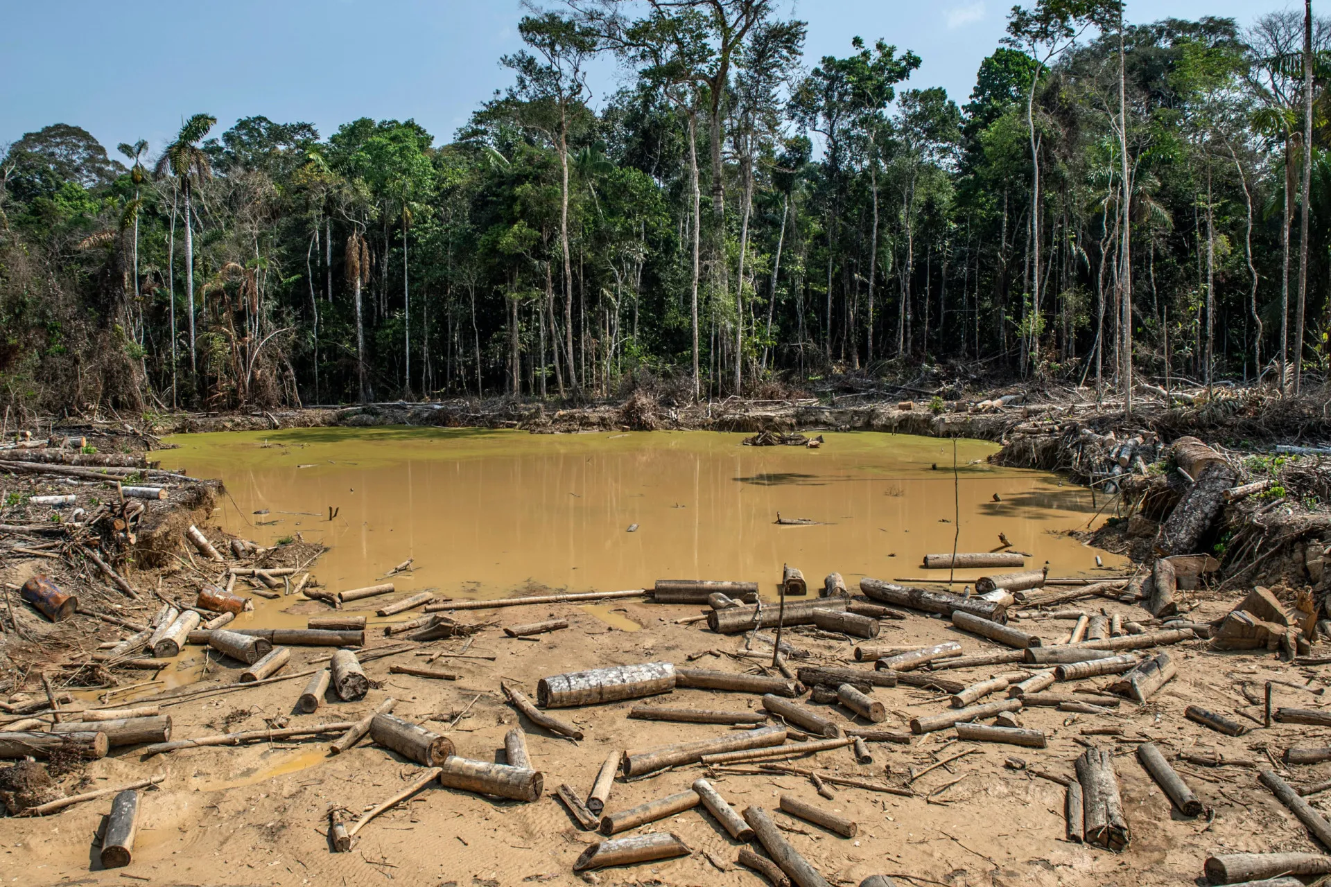 Indígena Munduruku olhando para o horizonte na floresta, simbolizando a longa espera por reconhecimento.