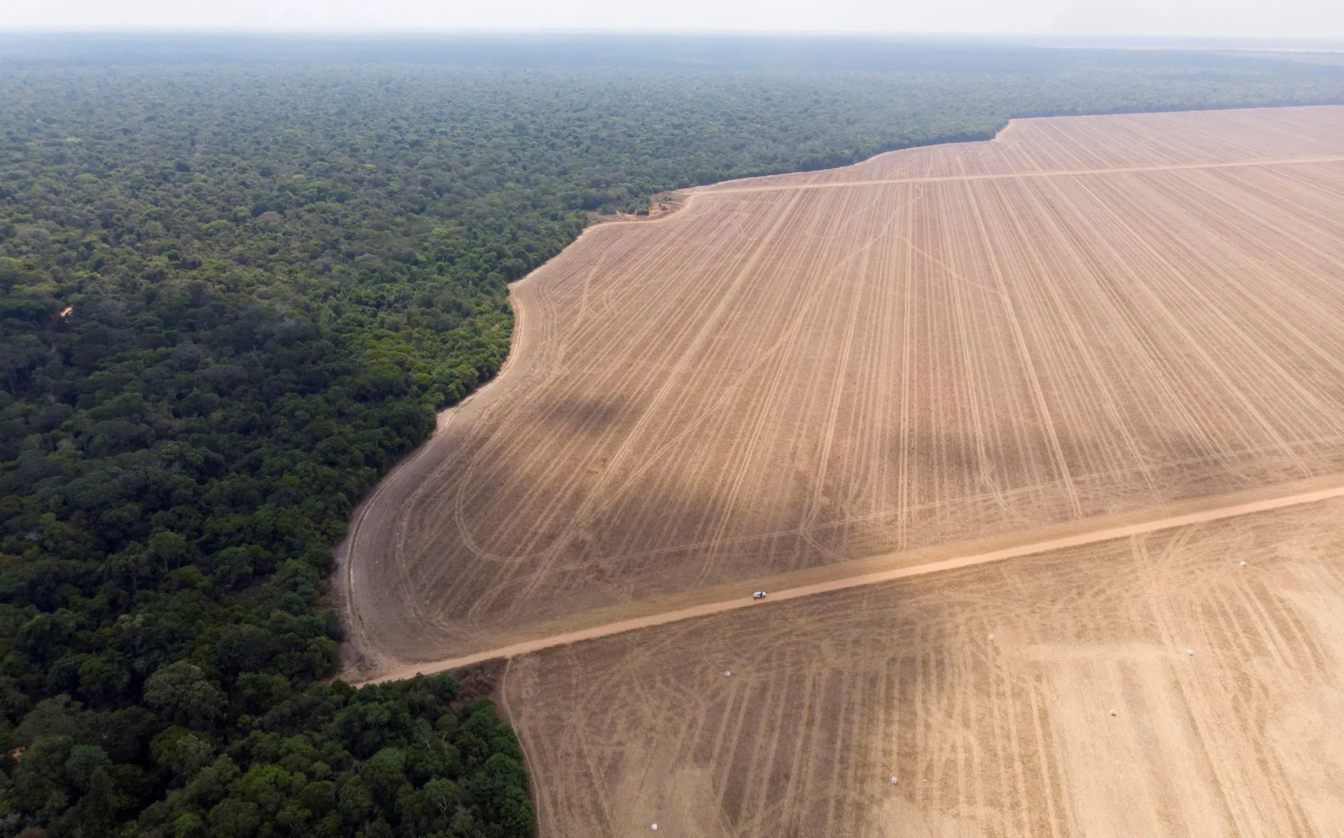 Trilhos de trem cortando a paisagem, simbolizando o avanço da infraestrutura sobre a natureza.