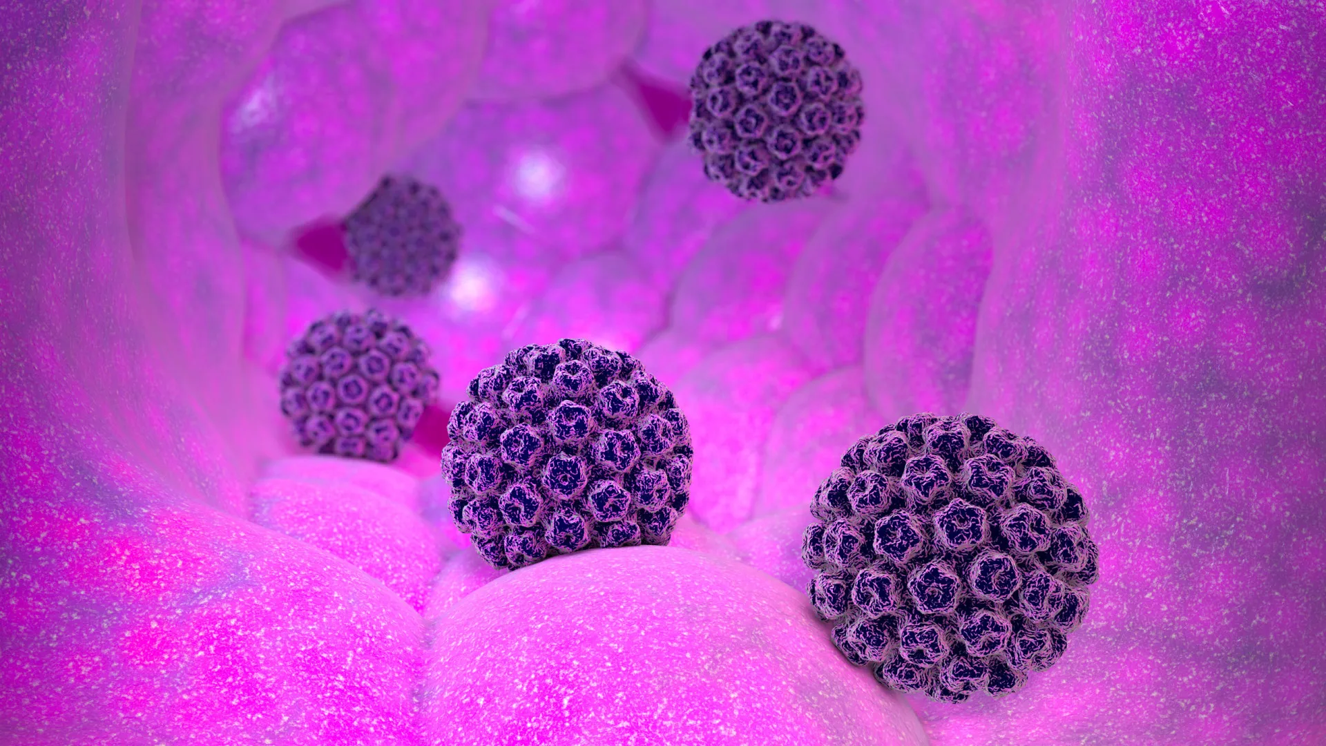 Ilustração mostrando o contato pele a pele como principal forma de transmissão do HPV.