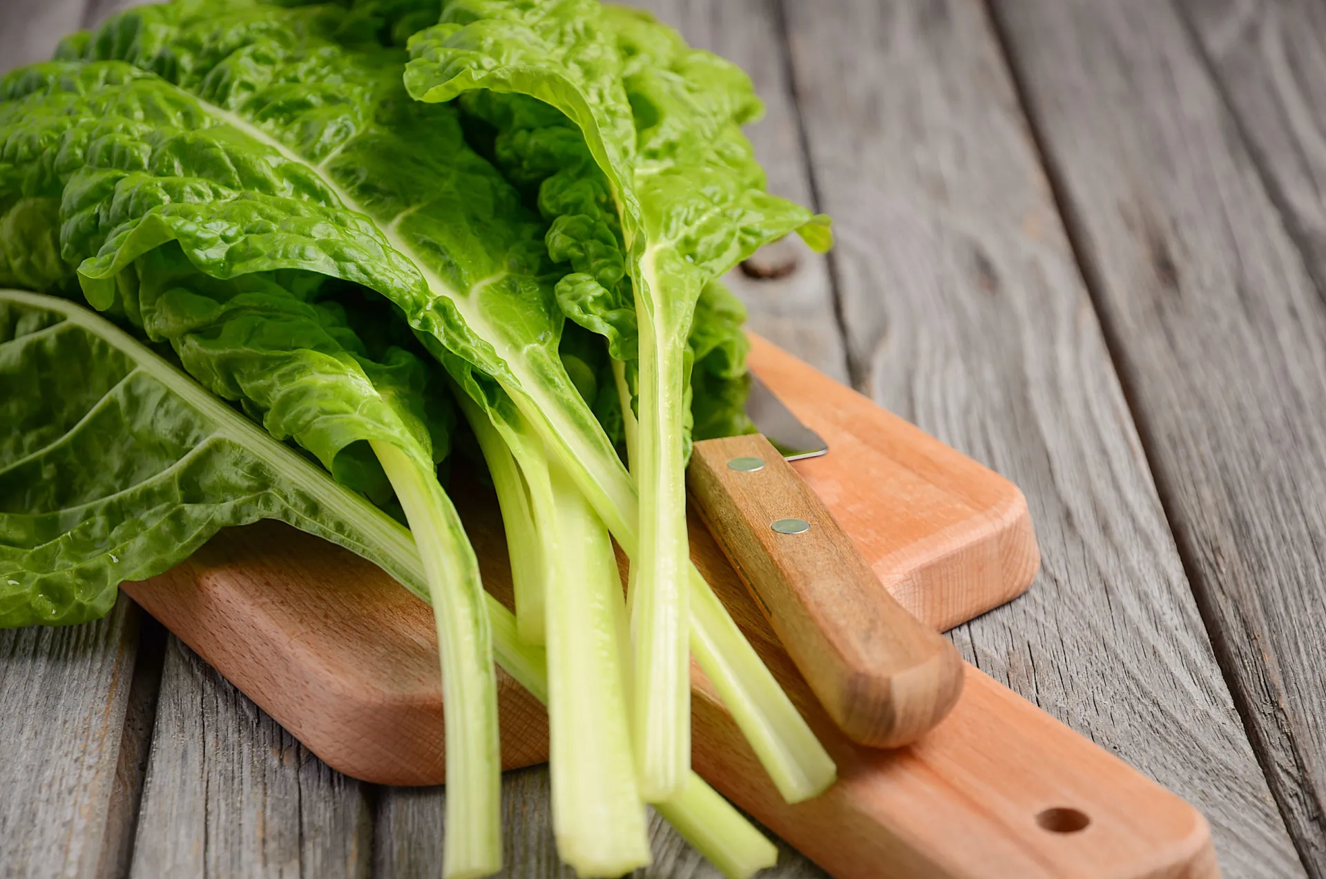 Um monitor de pressão arterial mostrando um resultado saudável, com vegetais como acelga ao lado.
