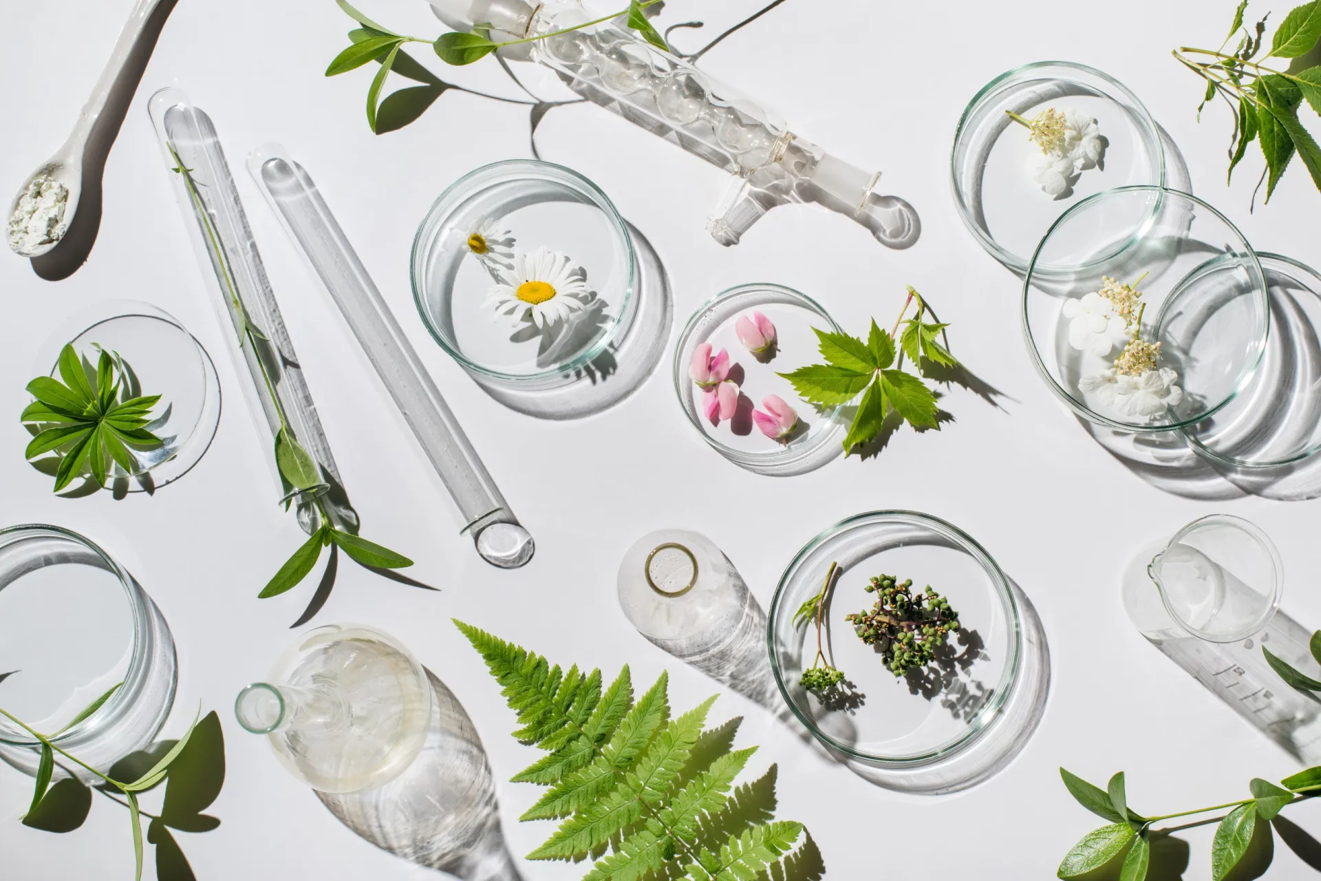Frascos de cosméticos dispostos com folhas e flores, representando o conceito de beleza natural.