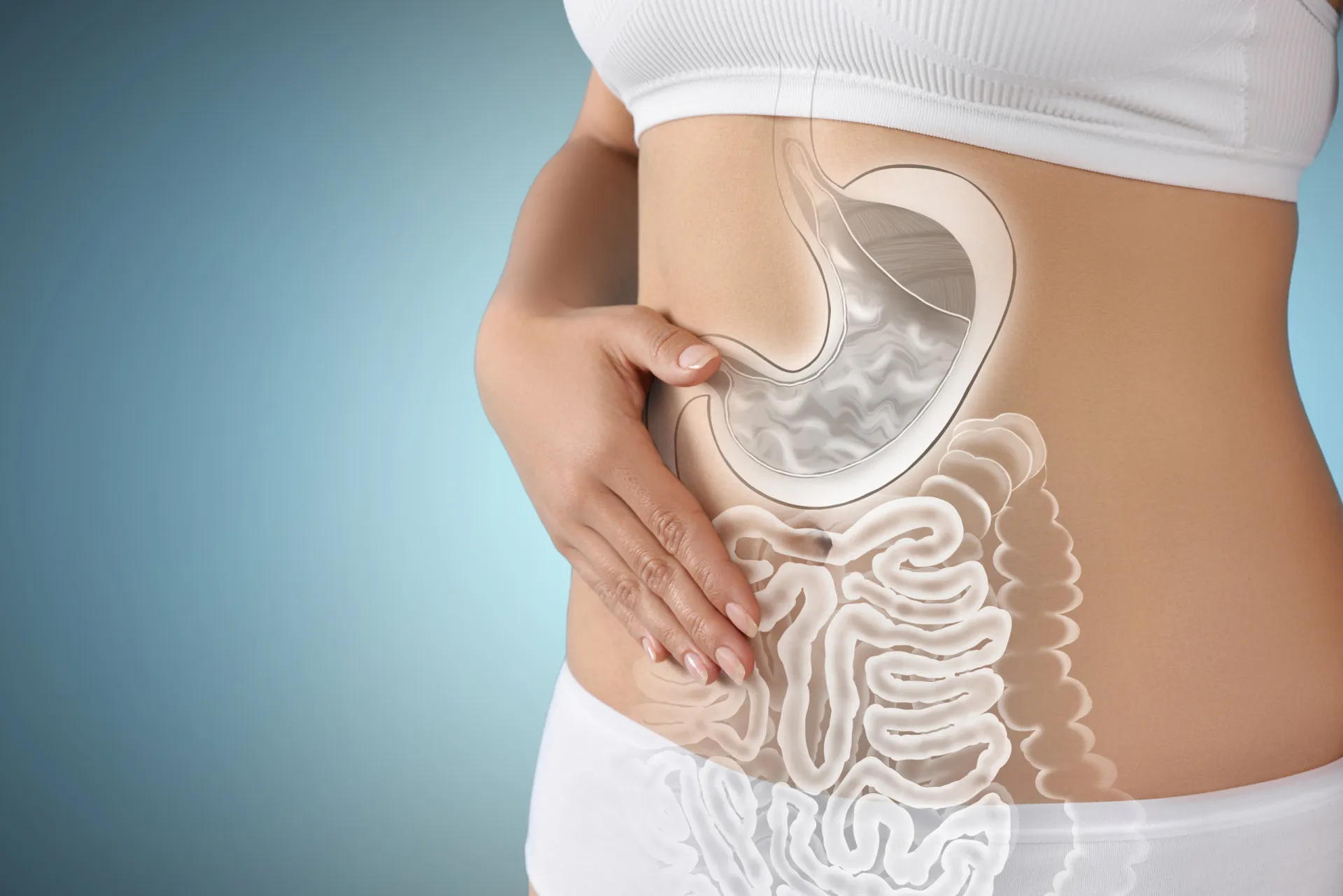 Ilustração do sistema digestivo humano, mostrando onde a digestão do amido ocorre.