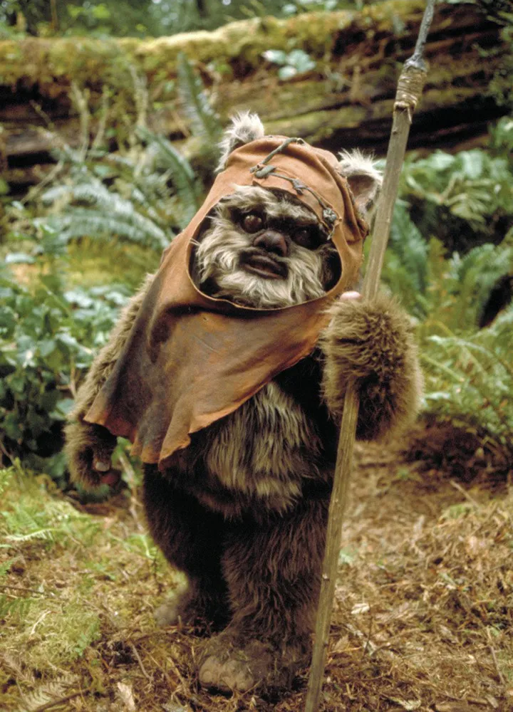 Warwick Davis no traje do ewok Wicket, personagem de Star Wars.
