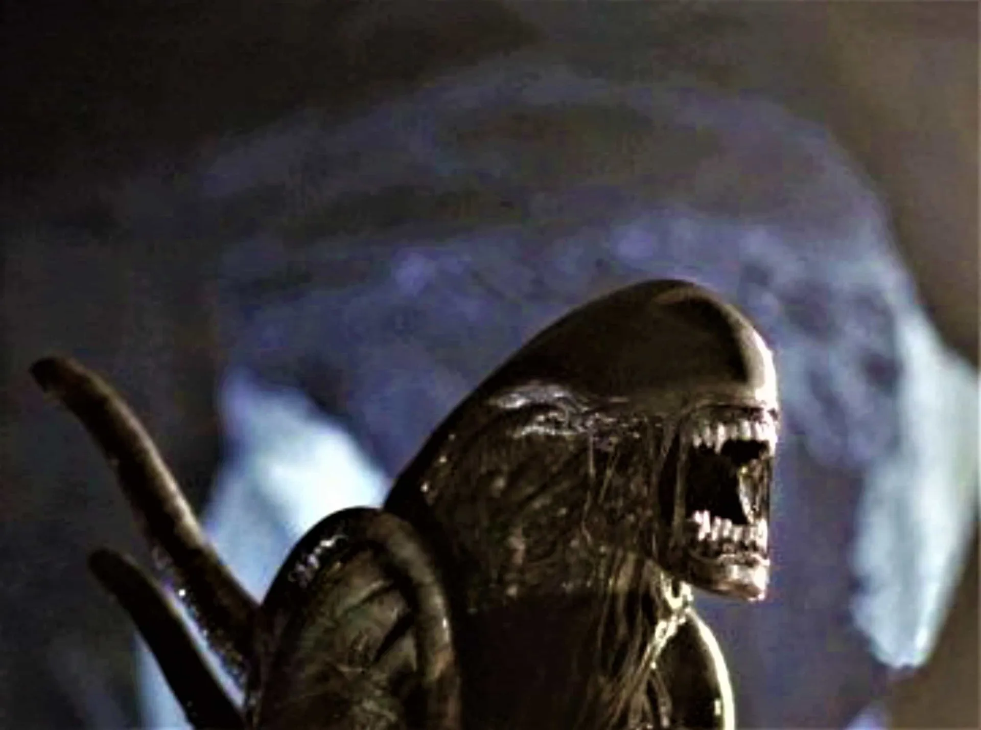 Bolaji Badejo dentro do complexo traje do Xenomorfo no set de 'Alien'.