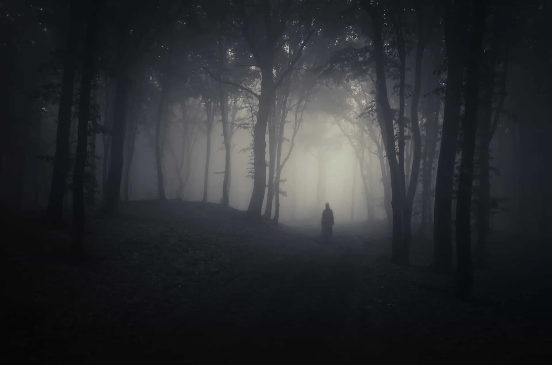 A figura alta e sem rosto do Slender Man em uma floresta escura.