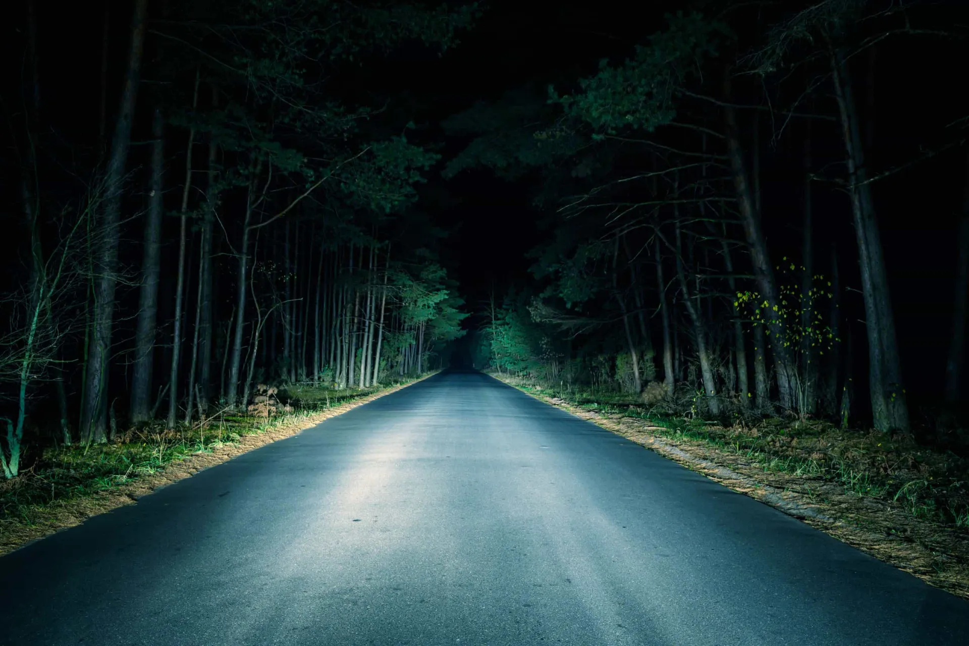 Carro dirigindo em uma estrada cercada por uma floresta densa e escura.