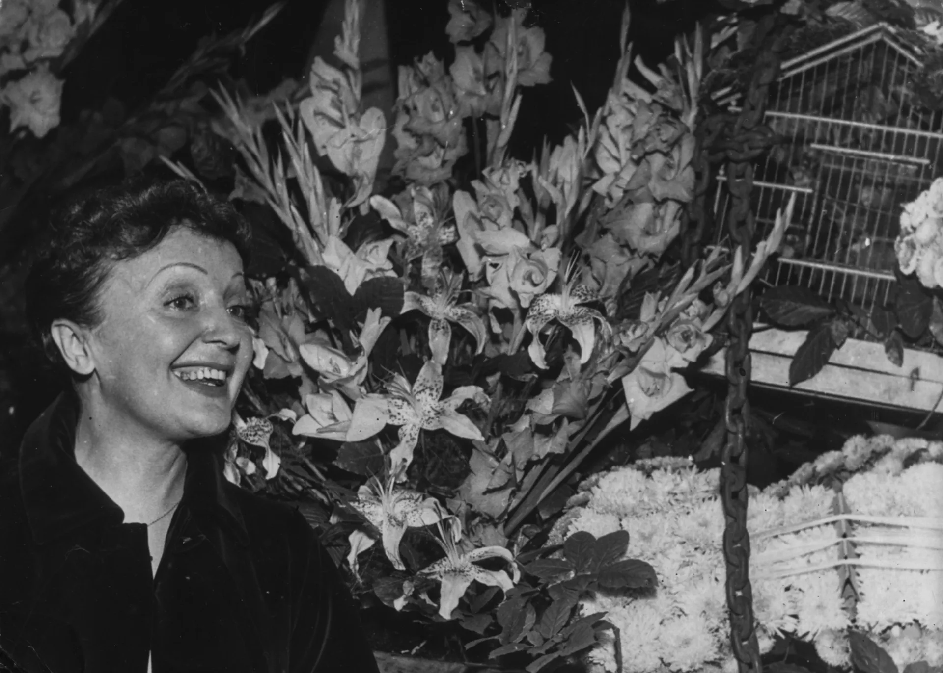 A cantora francesa Édith Piaf, com suas sobrancelhas finas características, cantando com emoção.