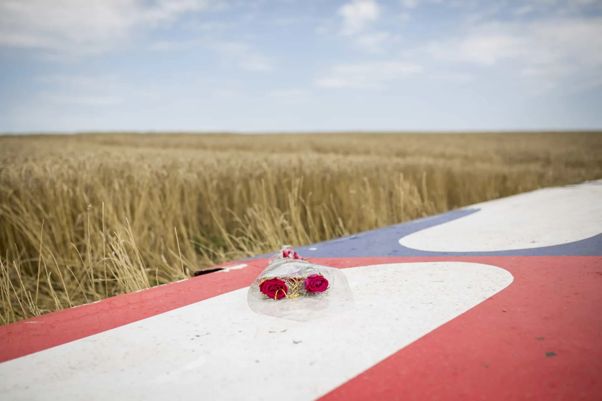 Flores colocadas sobre os destroços carbonizados do voo MH17 em um campo na Ucrânia.