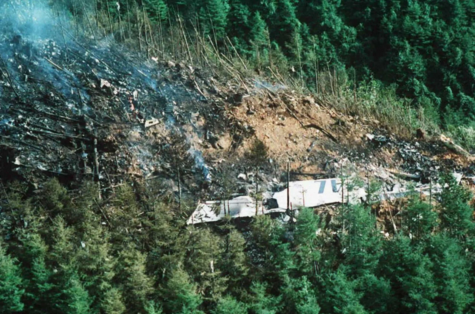 Destroços do voo 123 espalhados por uma encosta de montanha densamente arborizada no Japão.