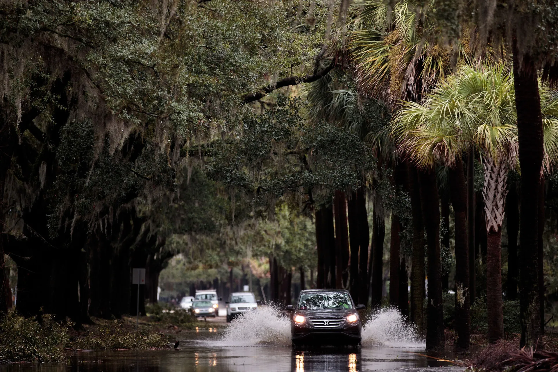 Rua histórica e arborizada de Savannah, Geórgia.