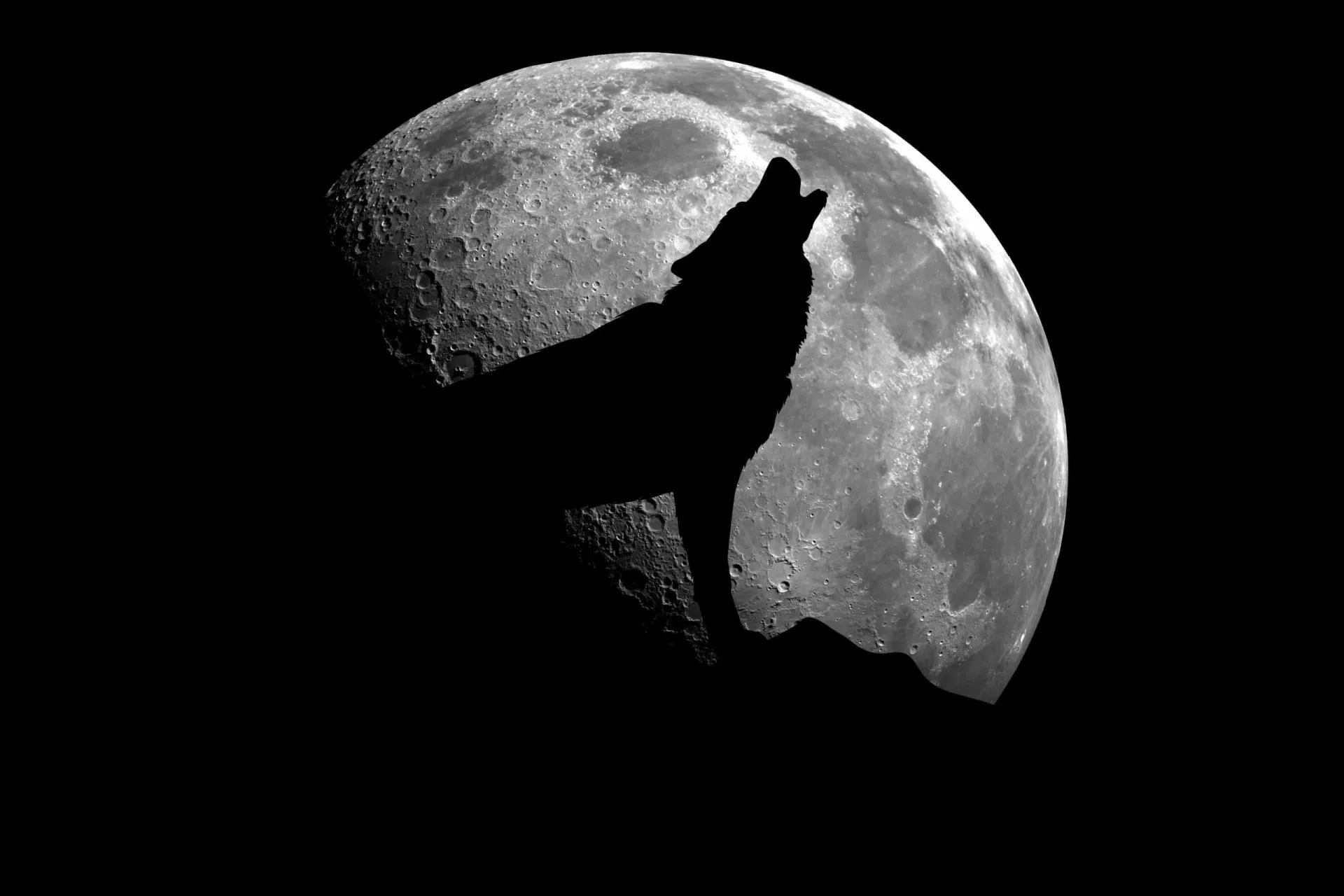 Um lobo uivando para a lua, uma imagem clássica que espalha medo e evoca a lenda do lobisomem.