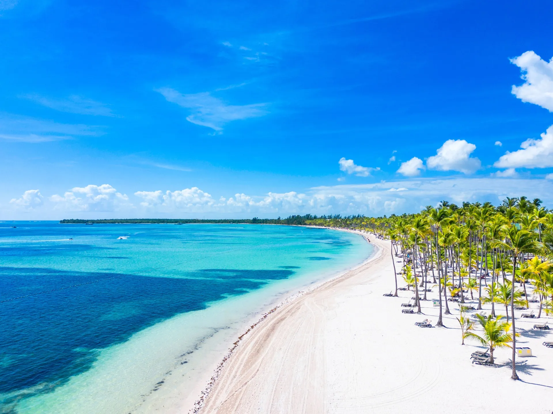 Palmeiras altas se inclinando sobre a areia branca e o mar azul-turquesa da Praia Bávaro, em Punta Cana.