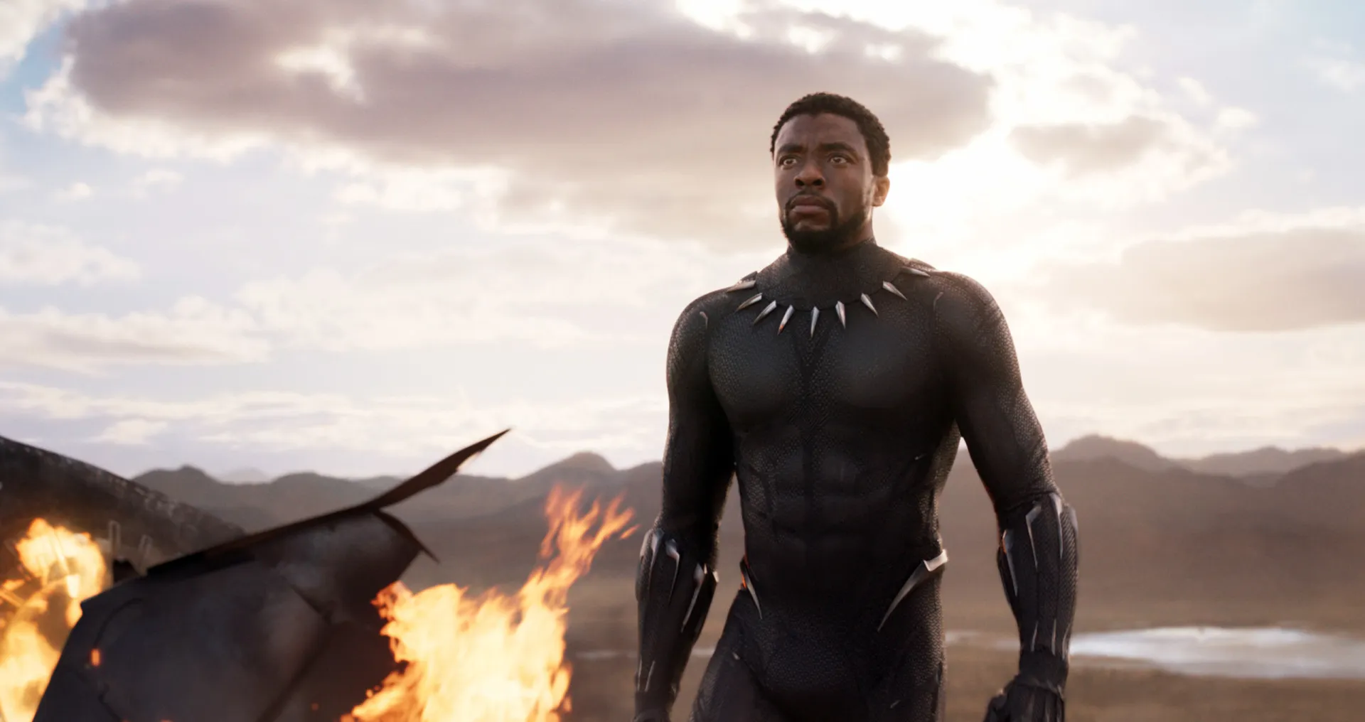 O Rei T'Challa como Pantera Negra, em seu traje de Vibranium, olhando majestosamente para o horizonte.