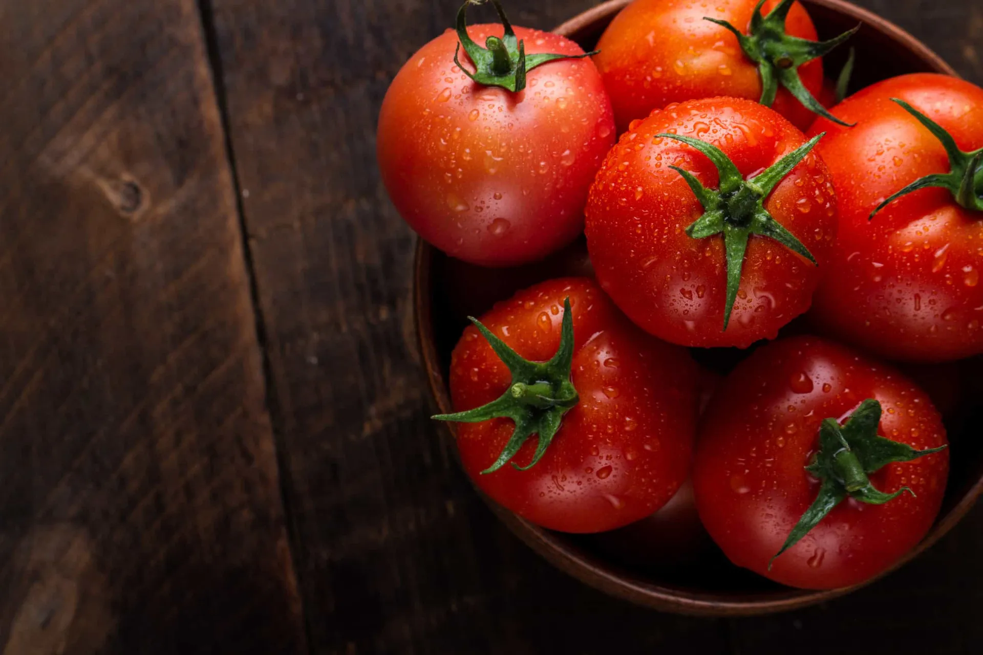 Tomates vermelhos e maduros ainda presos ao cacho no pé.