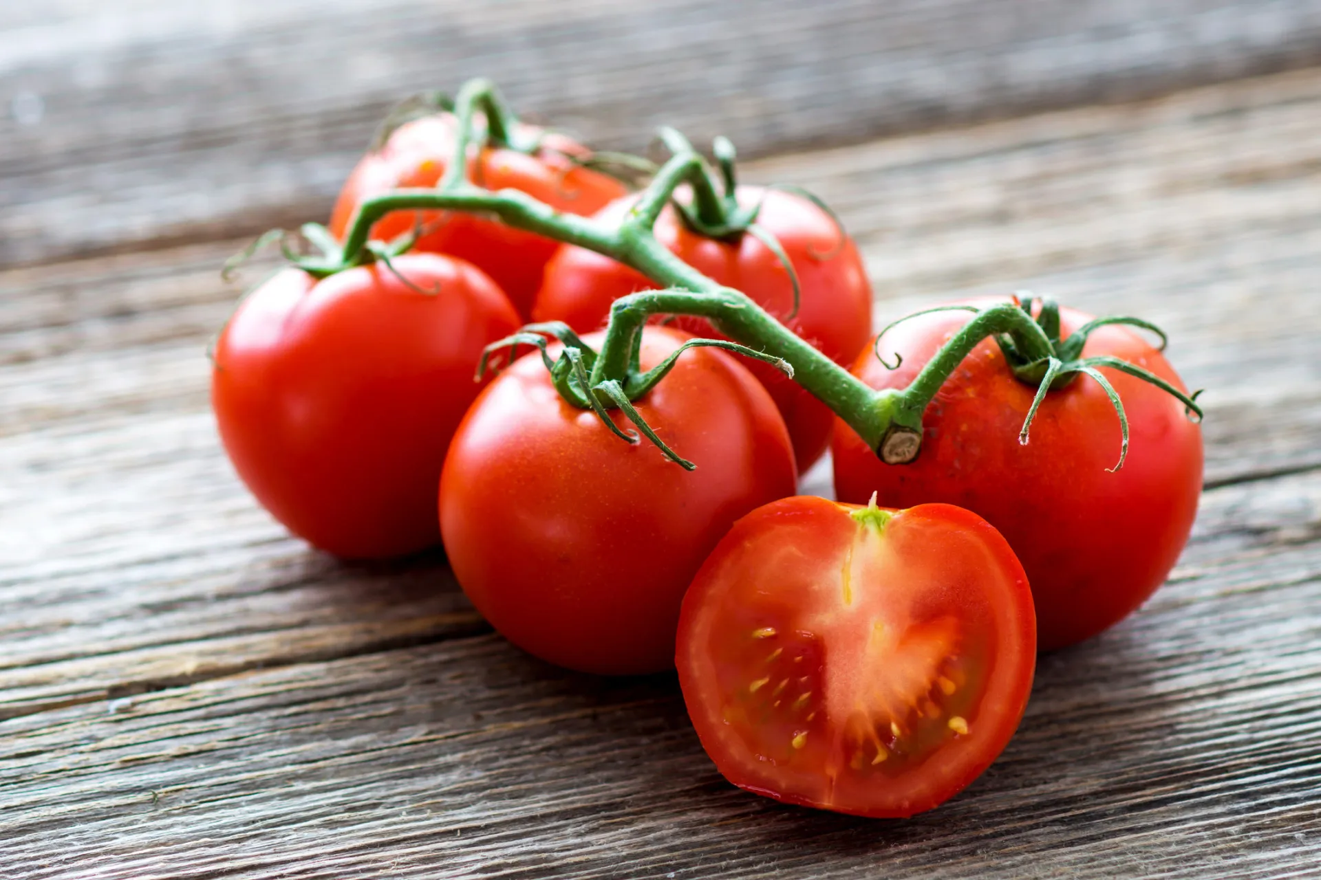 Tomates vermelhos maduros, alguns ainda no cacho.