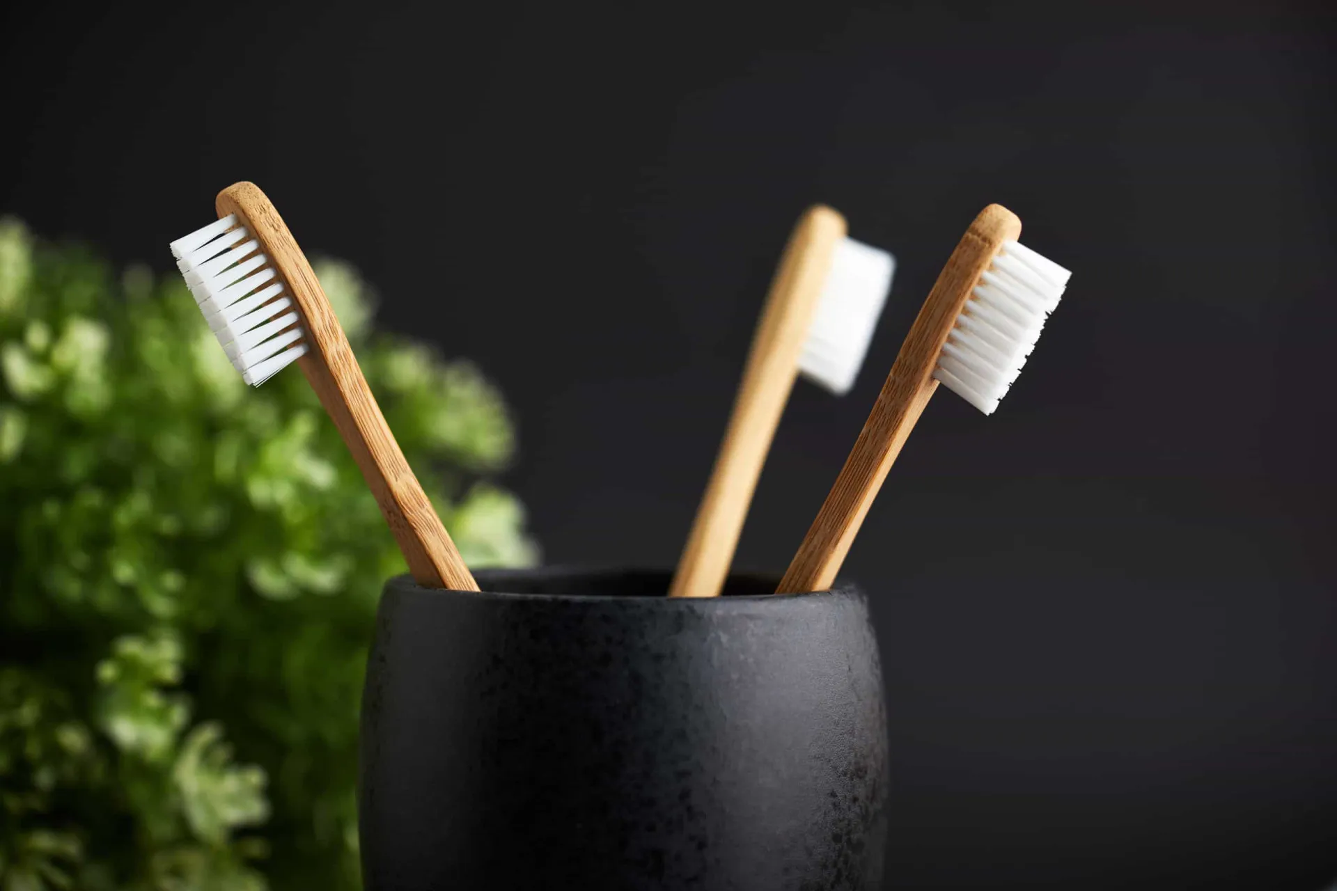 Escovas de dente em um copo ao lado de um vaso sanitário, ilustrando o risco de contaminação.