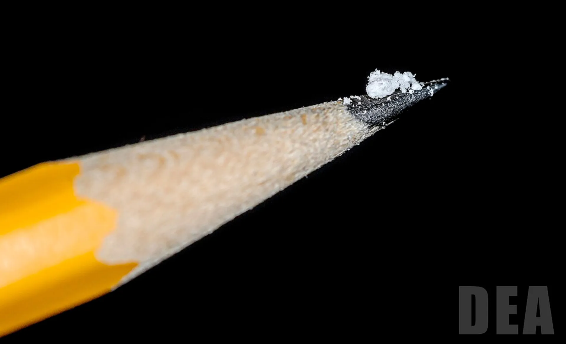 Uma dose letal de fentanil em pó na ponta de um lápis.