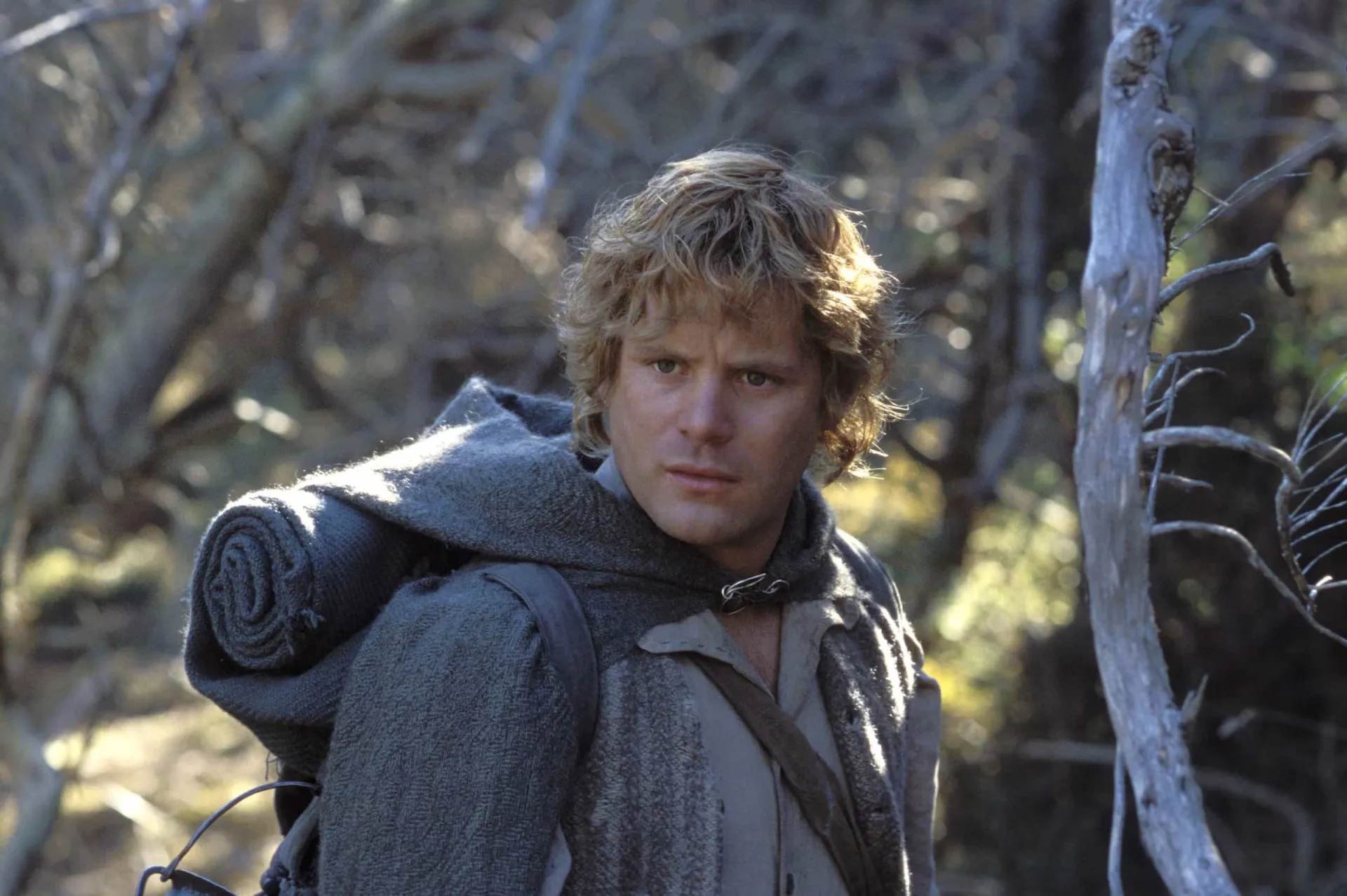 Sean Astin como o hobbit Samwise Gamgee, carregando uma mochila pesada em 'O Senhor dos Anéis'.