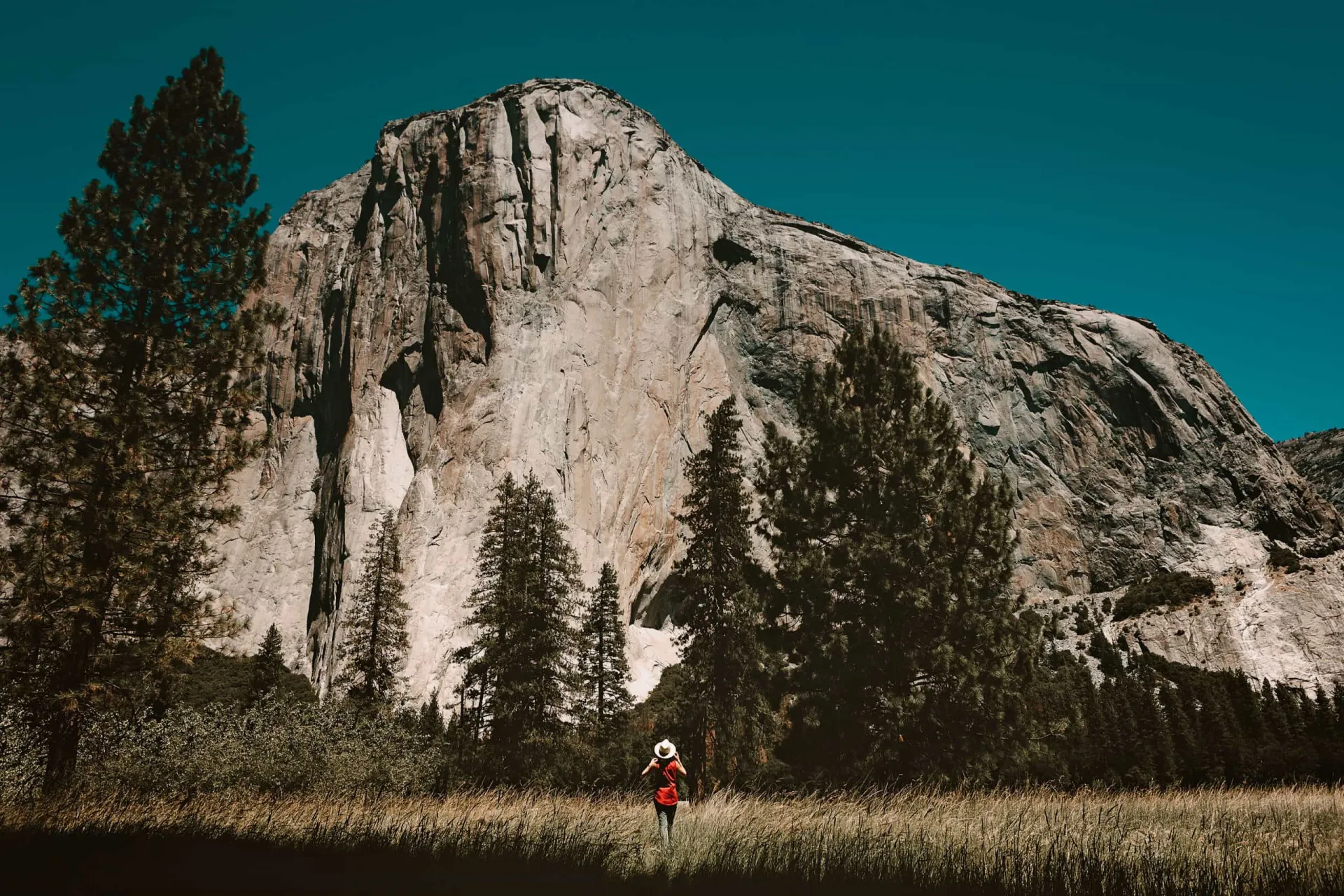 Vista impressionante da formação rochosa El Capitan, no Parque Nacional de Yosemite, escalada por Alex Honnold.