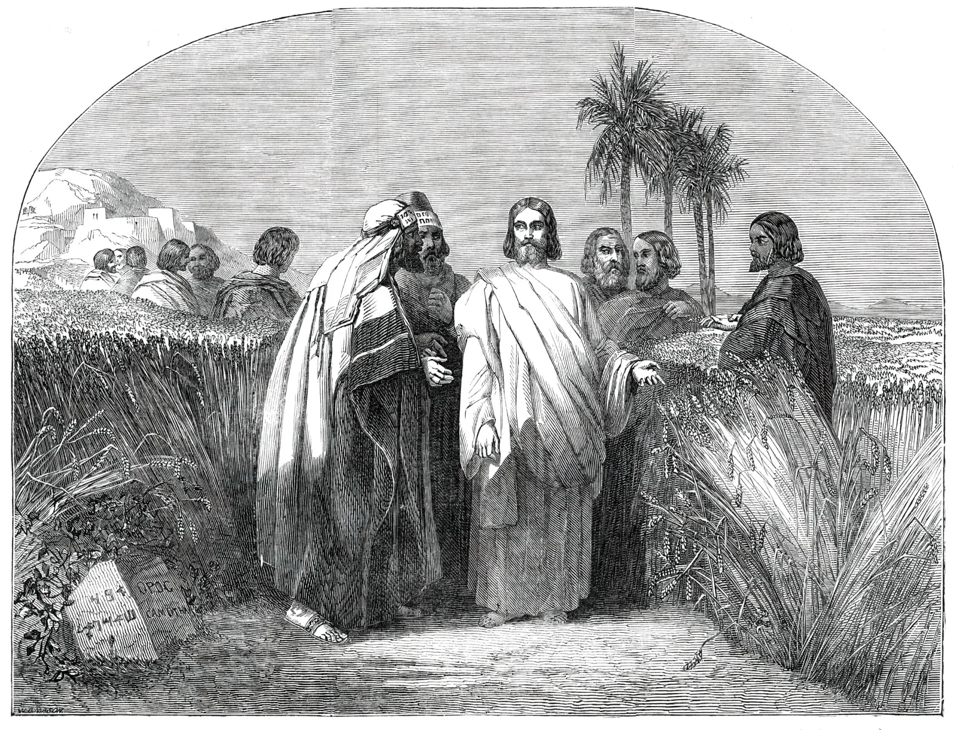 Os discípulos de Jesus colhendo espigas de grãos em um campo durante o sábado.
