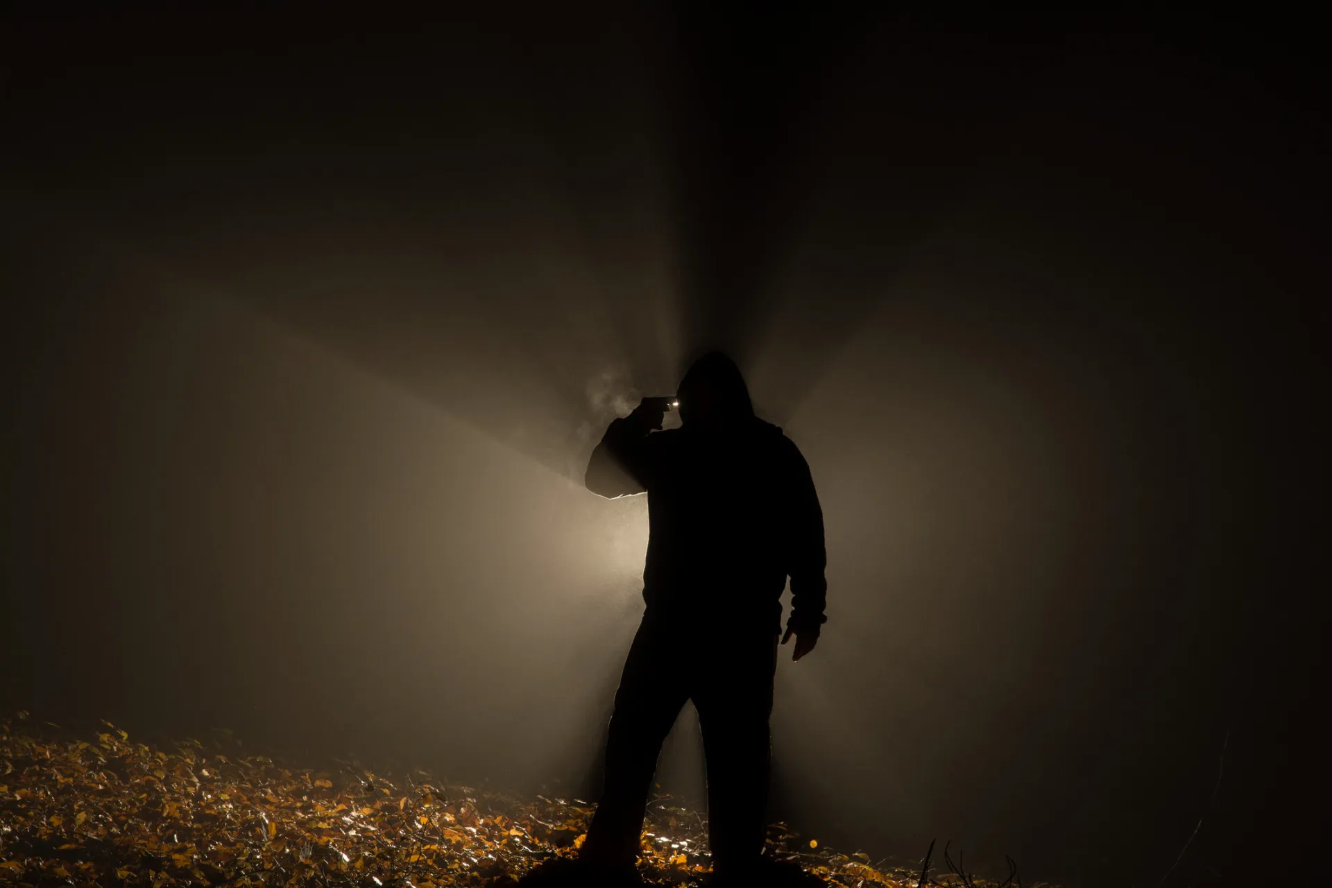 Luzes brilhantes e misteriosas vistas através das árvores de uma floresta escura.