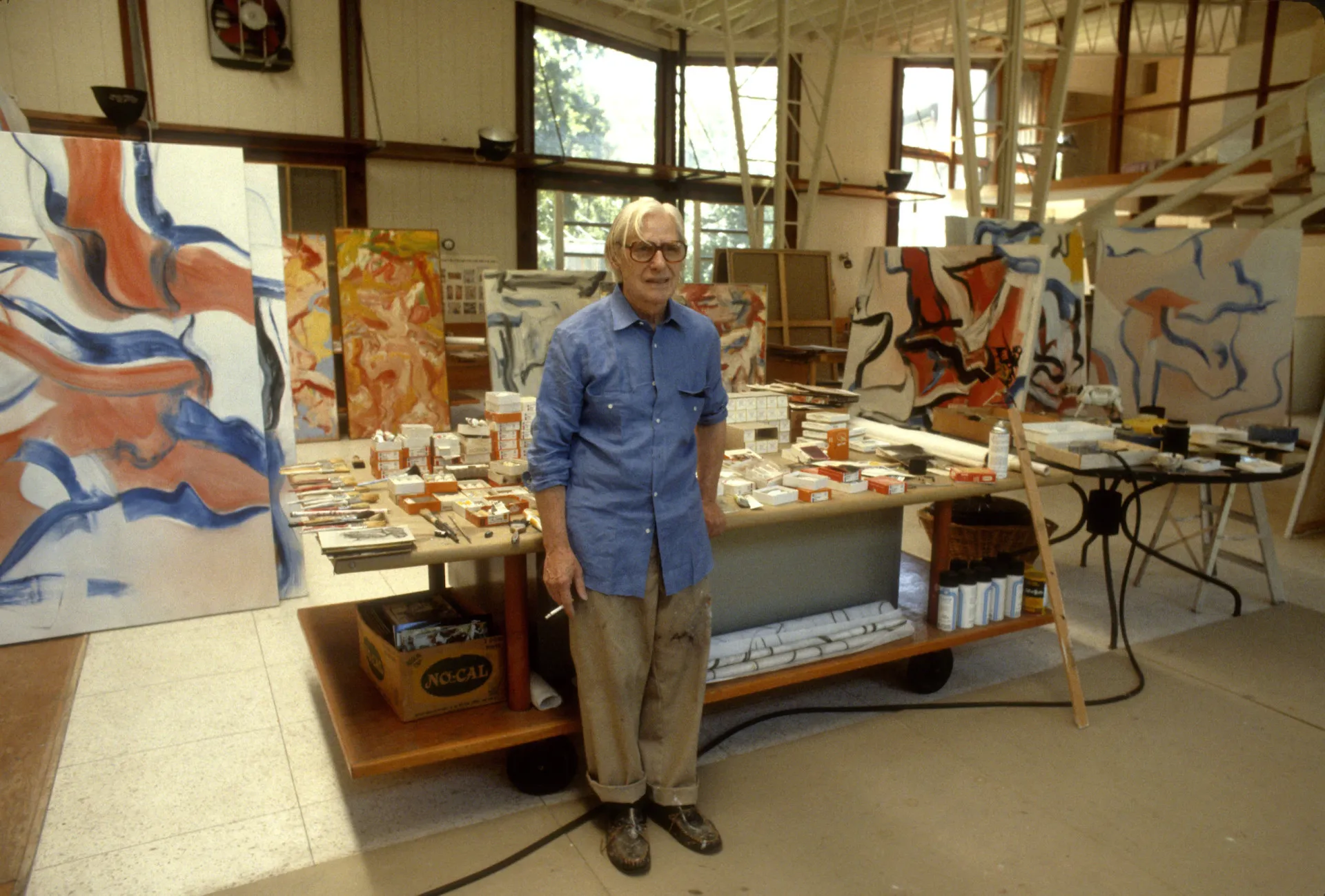 O pintor expressionista abstrato Willem de Kooning.