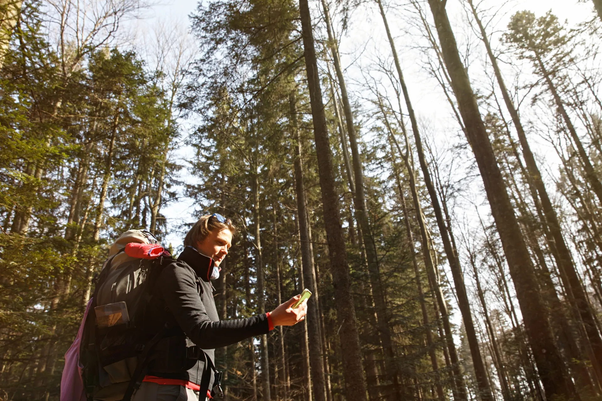 Mão segurando um dispositivo de GPS no meio de uma floresta.