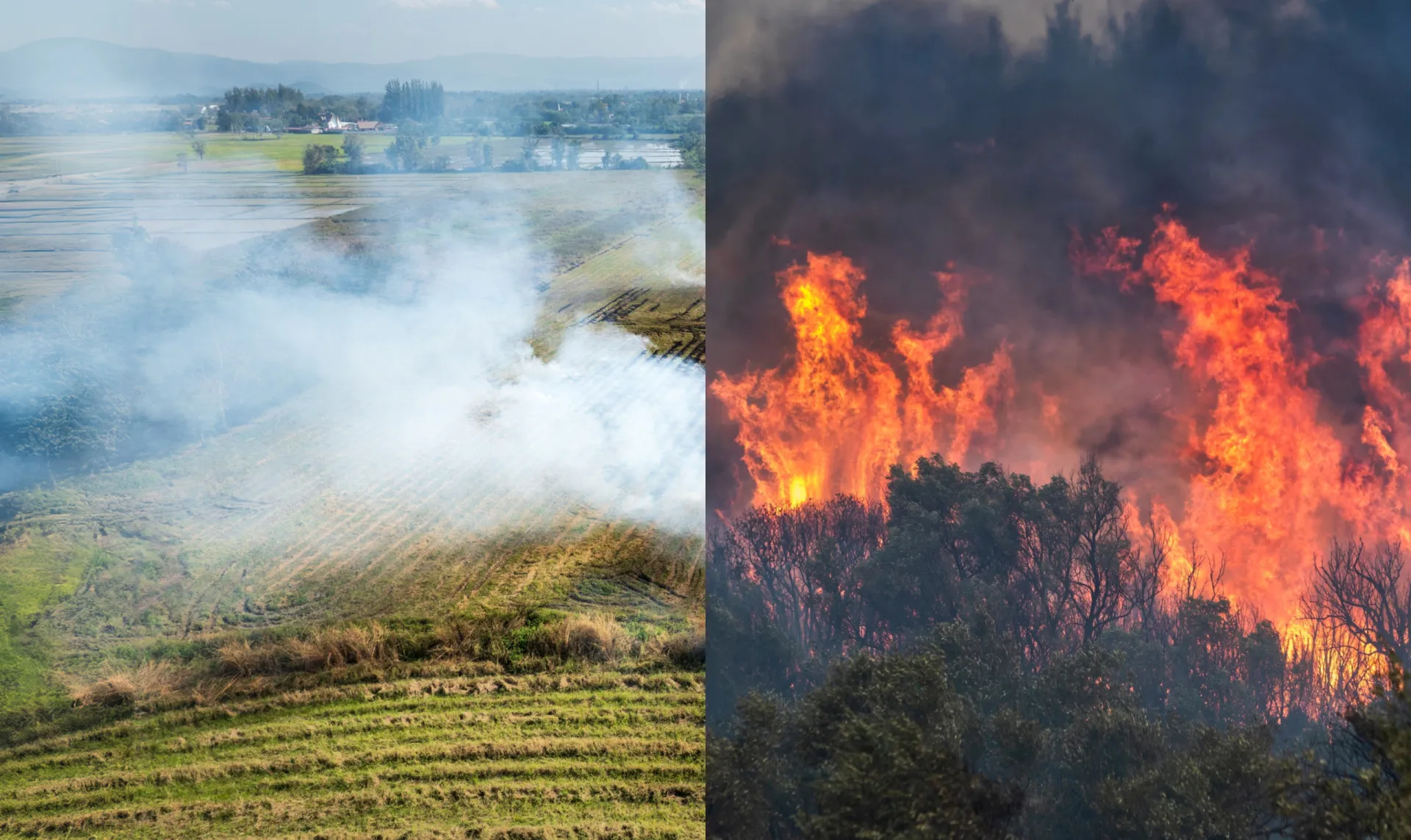 Colagem de imagens mostrando a fumaça da agricultura e de um incêndio florestal.