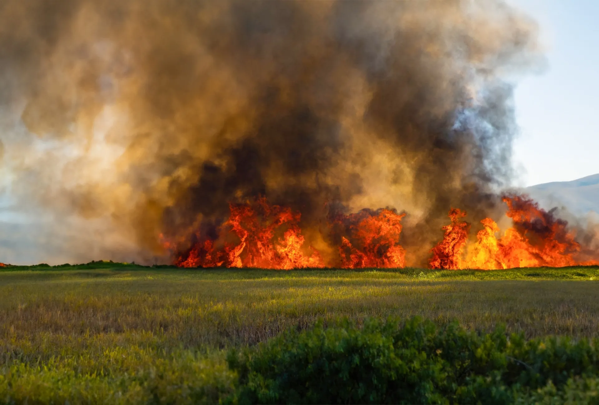 Grande incêndio florestal consumindo uma área de árvores, com uma densa nuvem de fumaça.