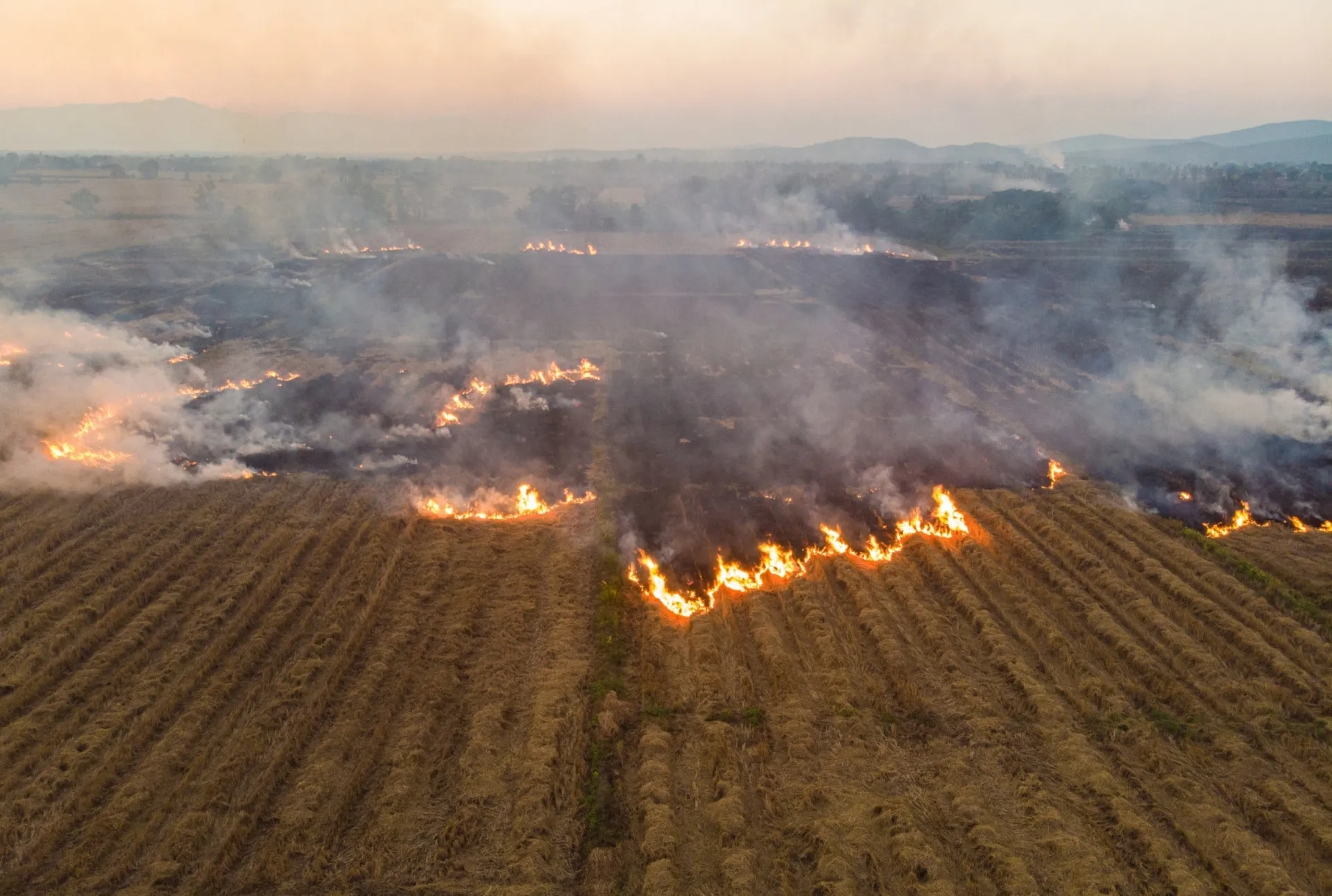 Campo agrícola com fumaça subindo ao fundo, resultado da queima de colheitas.