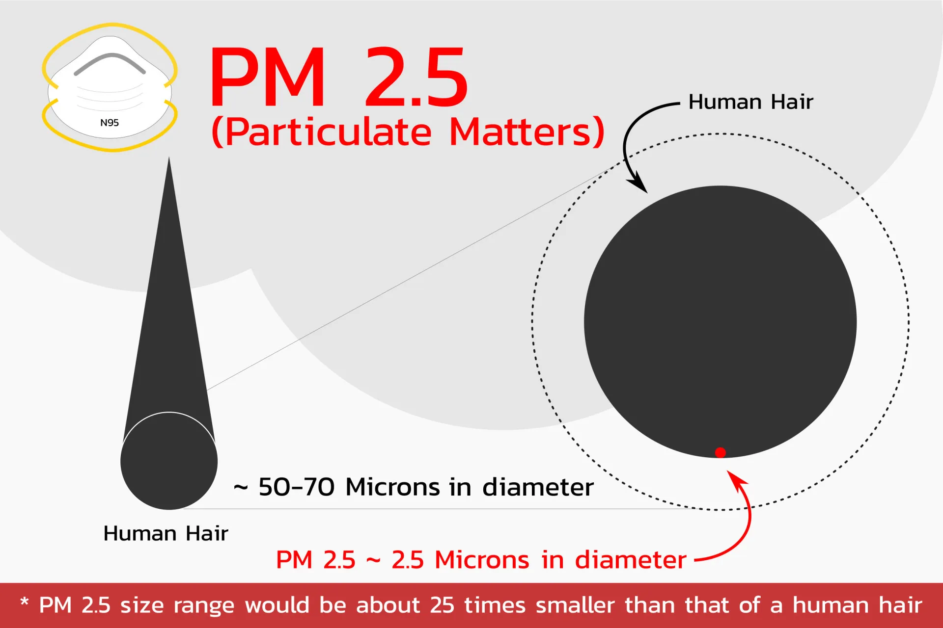 Comparação gráfica entre um fio de cabelo humano e uma partícula PM2.5, mostrando sua pequenez.