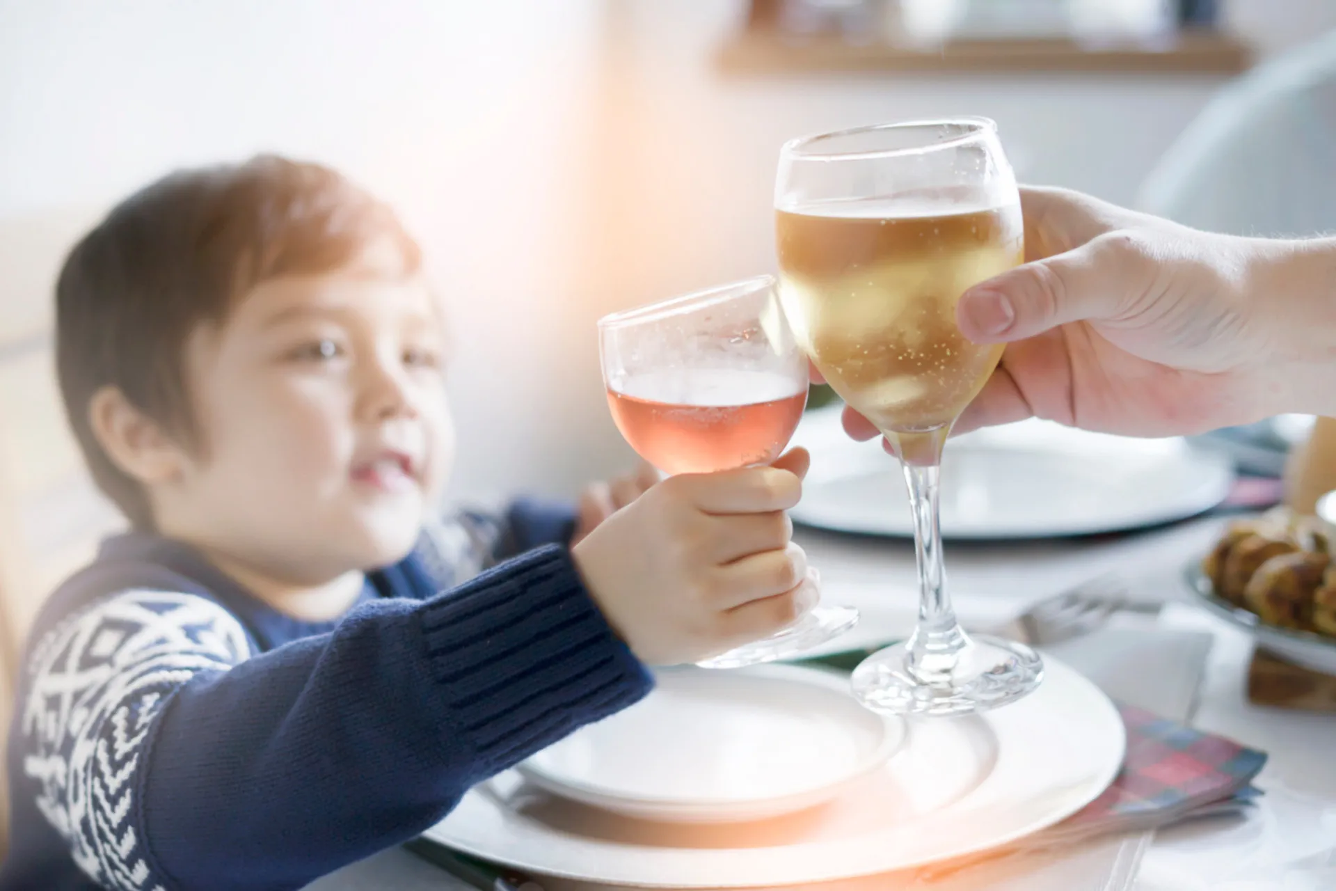 Uma família jantando junta, com uma garrafa de vinho na mesa, representando o modelo europeu.