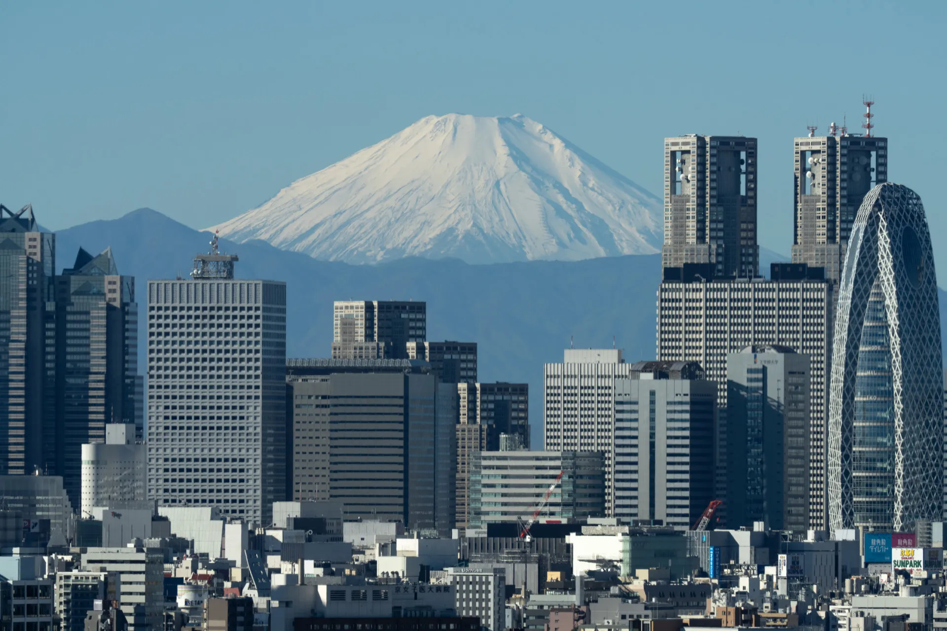 O Monte Fuji com flores de cerejeira em primeiro plano, no Japão, uma imagem icônica do país.