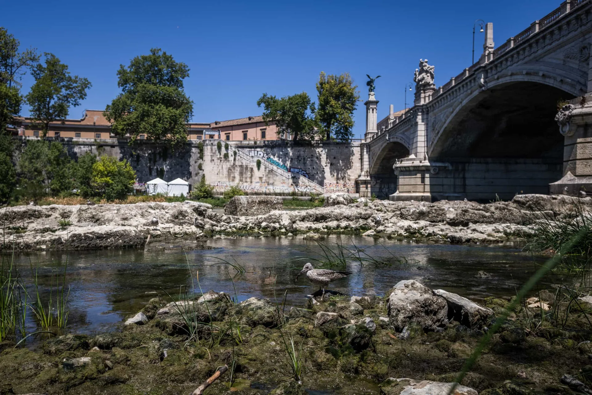 Ruínas de uma antiga ponte de pedra romana emergindo das águas baixas do Rio Tibre, em Roma.