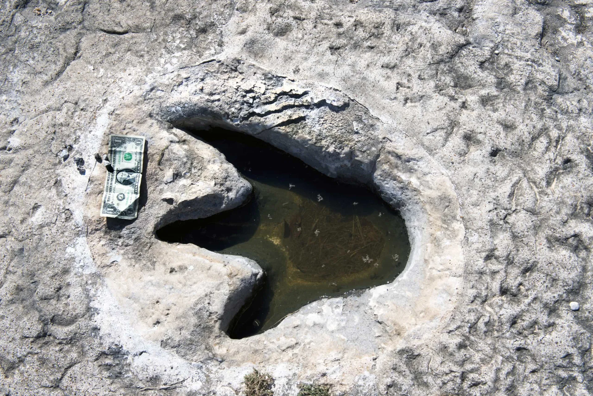 Visão de perto de uma única pegada de dinossauro perfeitamente preservada na lama seca.