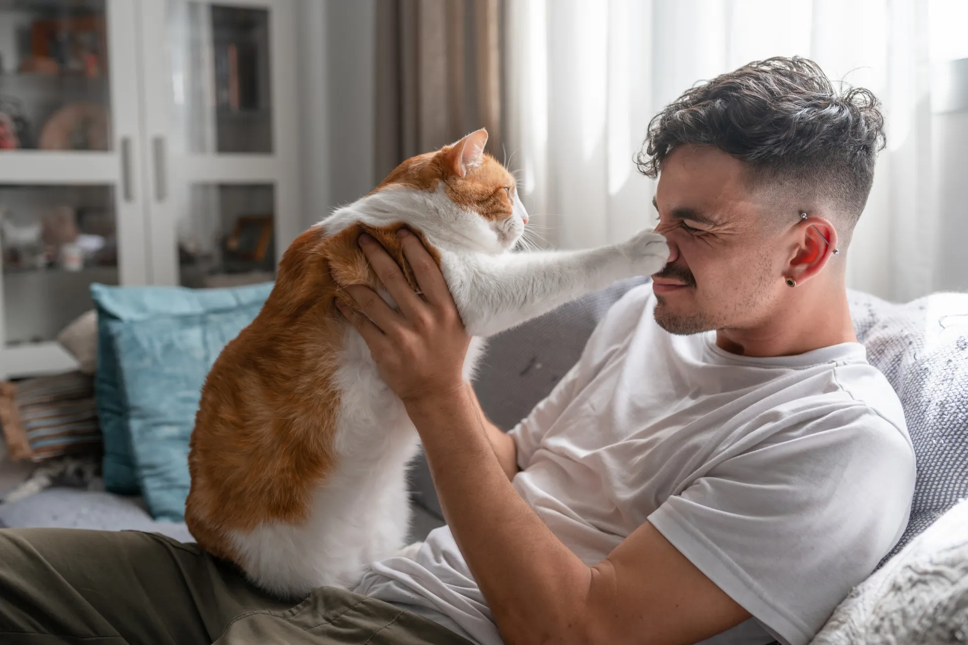 Gato preto e branco com uma expressão desafiadora e independente.