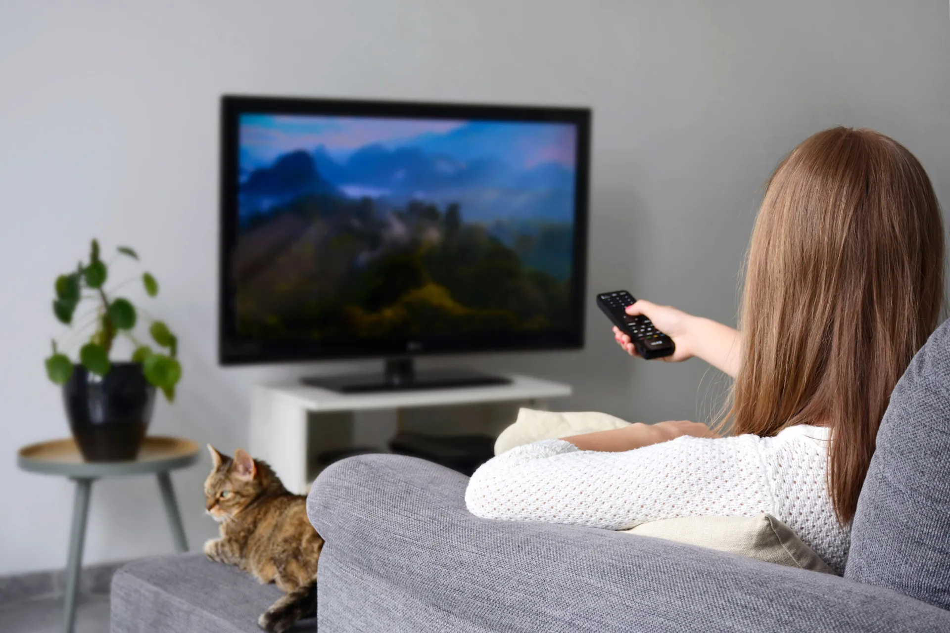 Pessoa assistindo a um filme cult na TV com um gato dormindo ao lado.