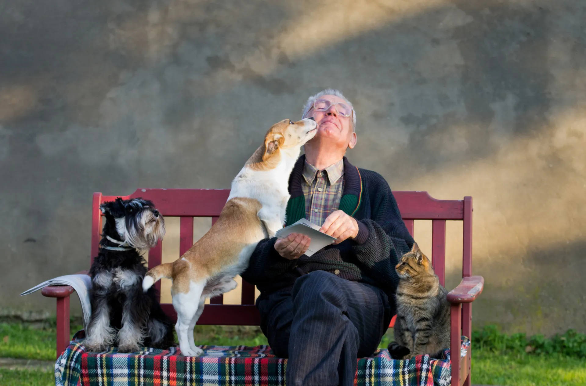Pessoa feliz abraçando um cachorro de um lado e um gato do outro.